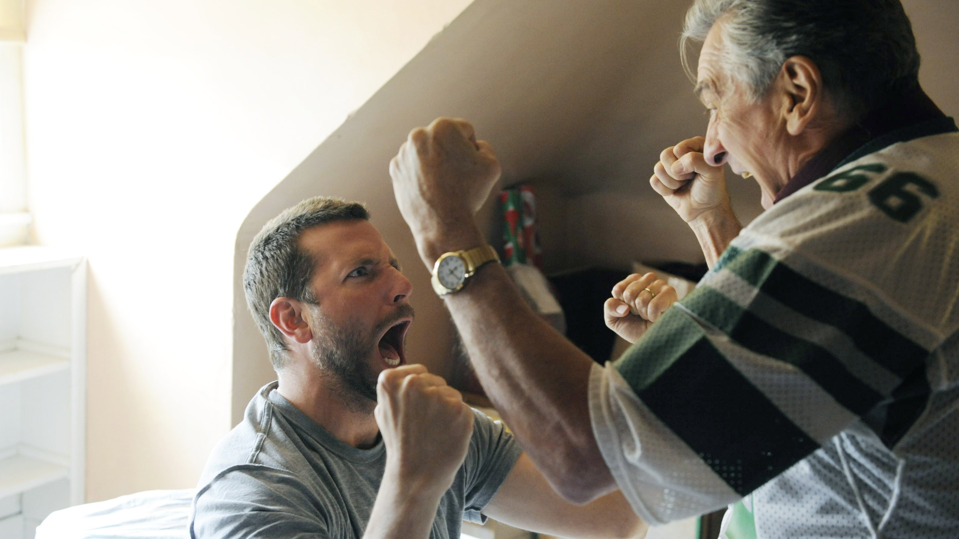 Silver Linings Playbook Background