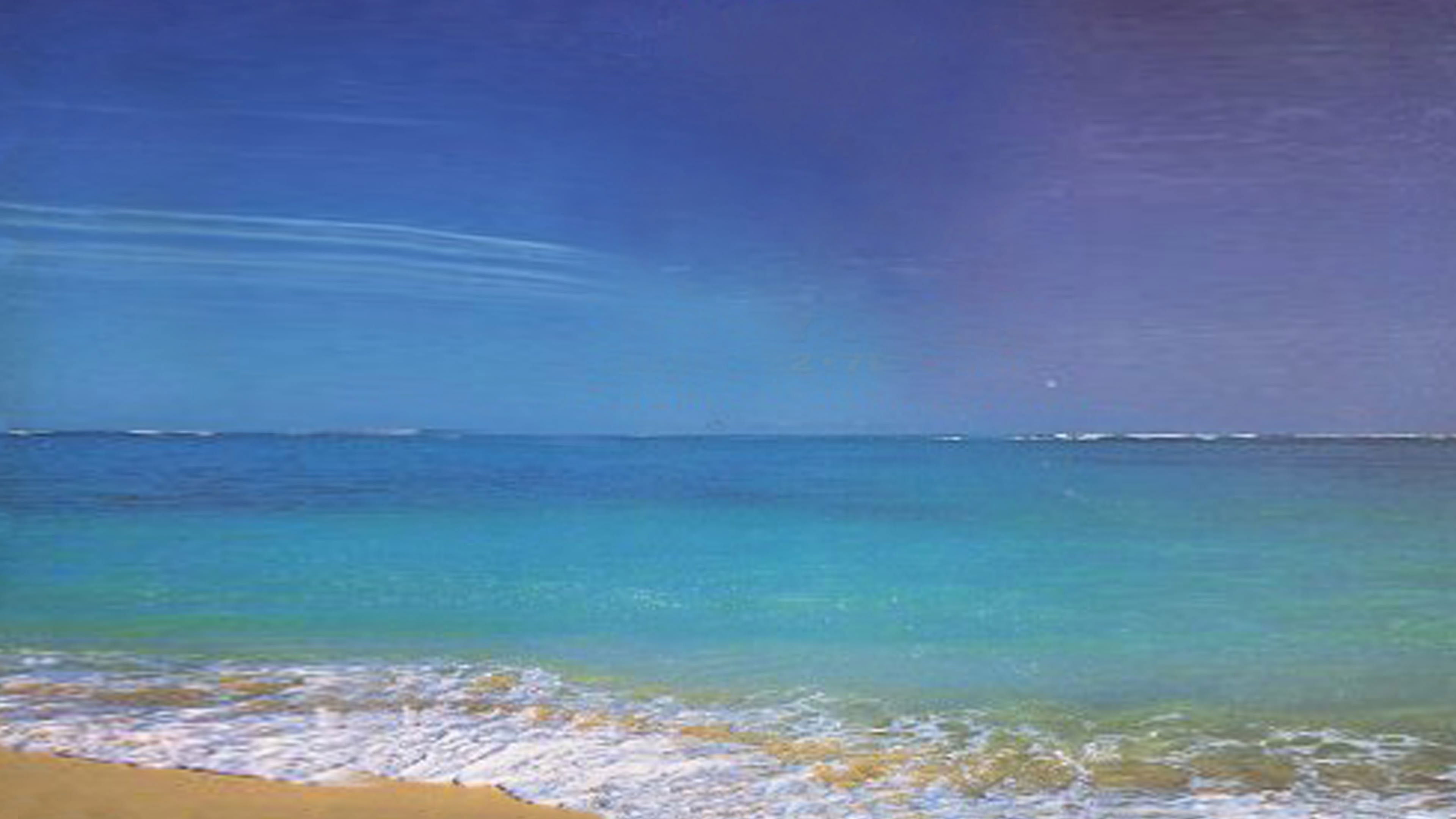 WWE Royal Rumble 1995 Background