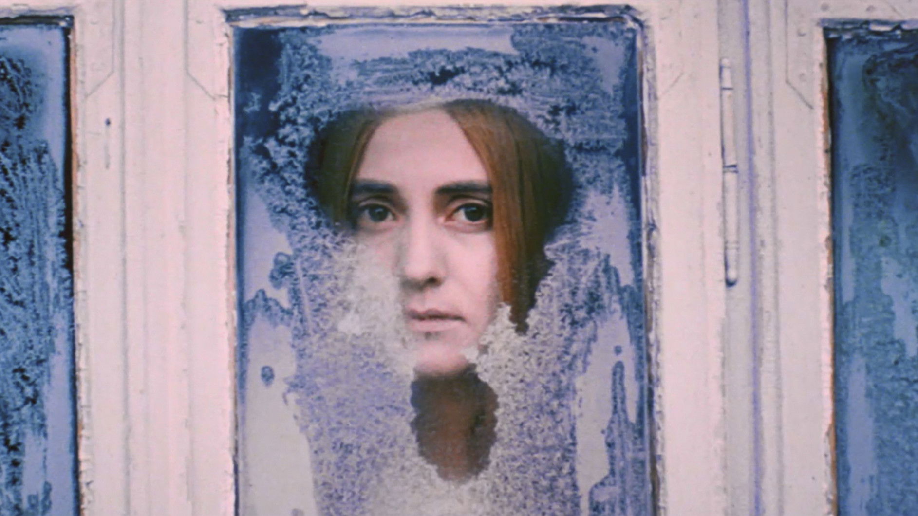 The White Bird Marked with Black Background