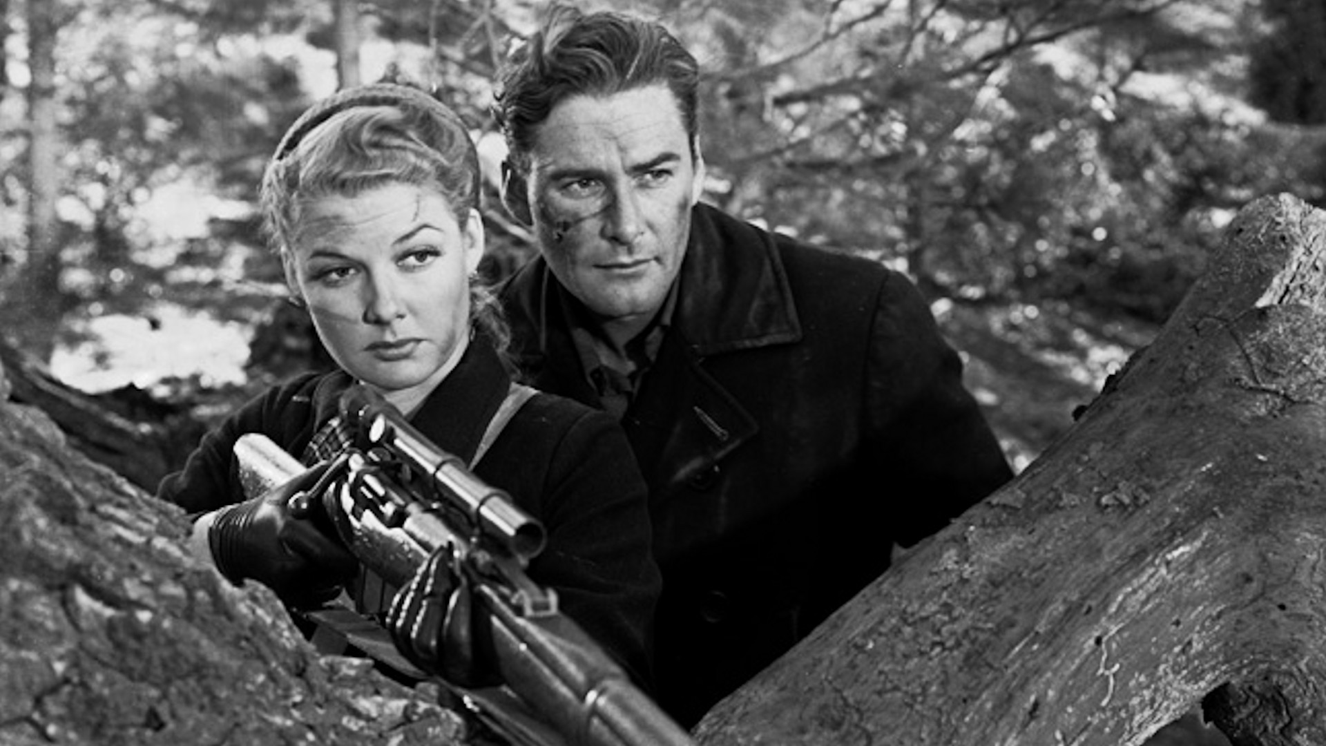 Edge of Darkness Background