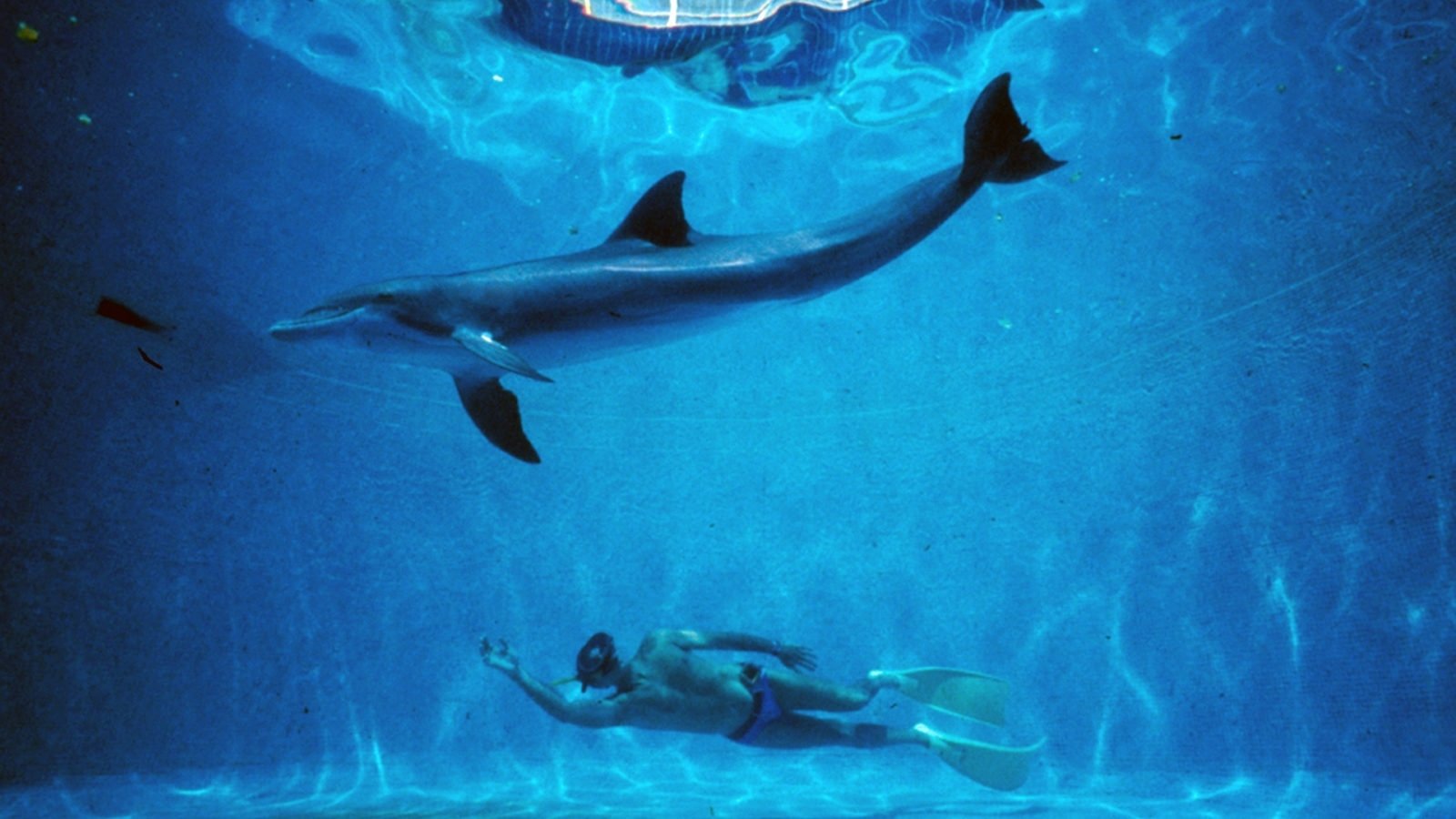 The Big Blue Background