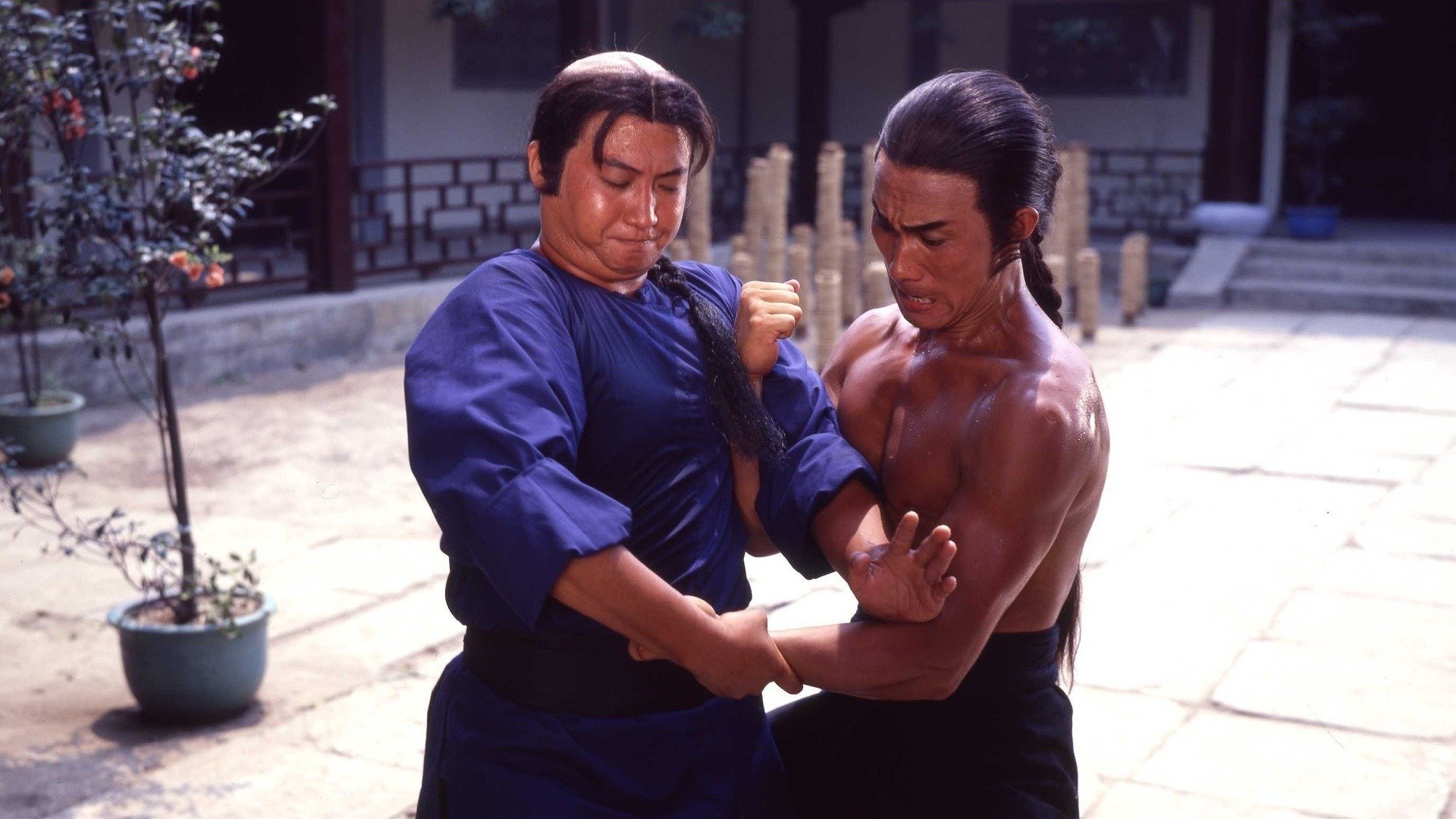 Warriors Two Background