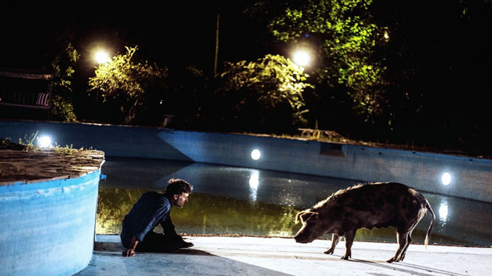 La chancha Background