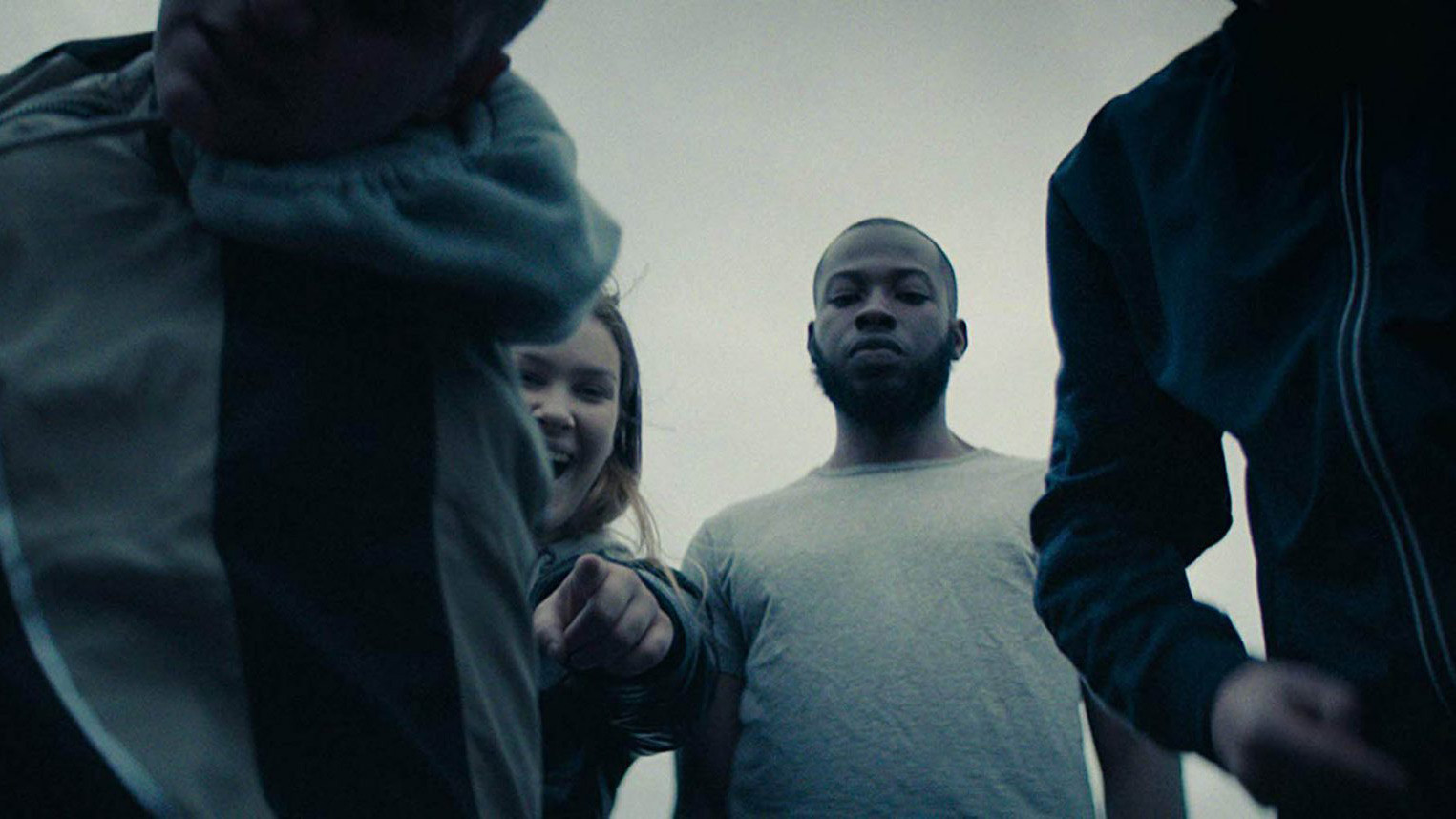 Black Sheep Background