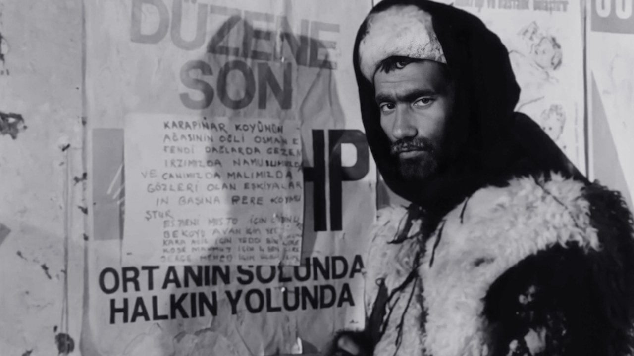 The Hungry Wolves Background