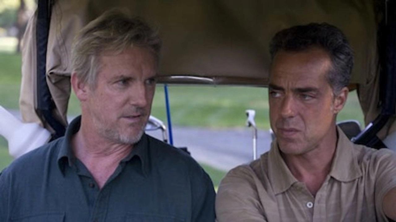 Handsome Harry Background