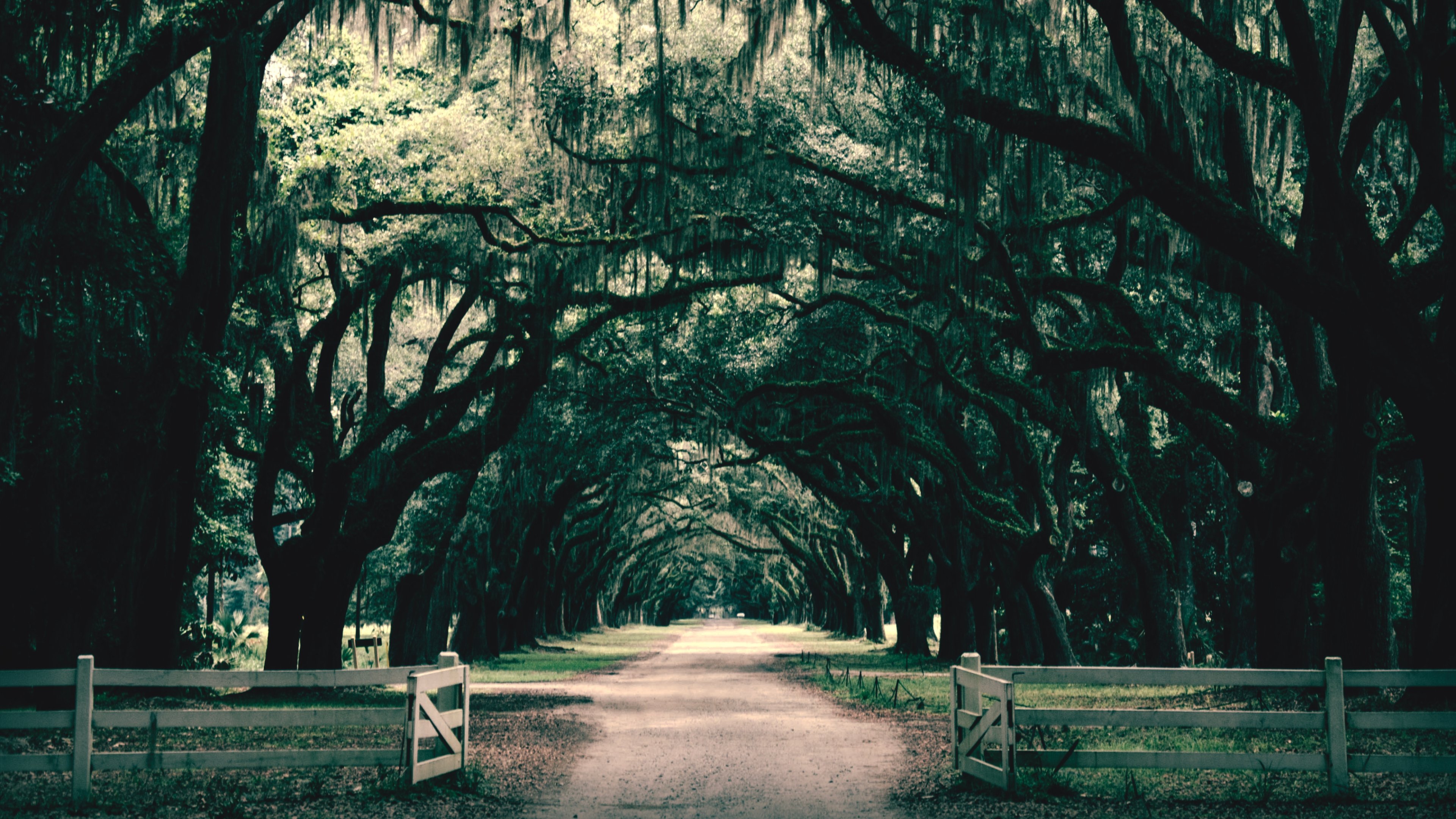 Southern Gothic Background