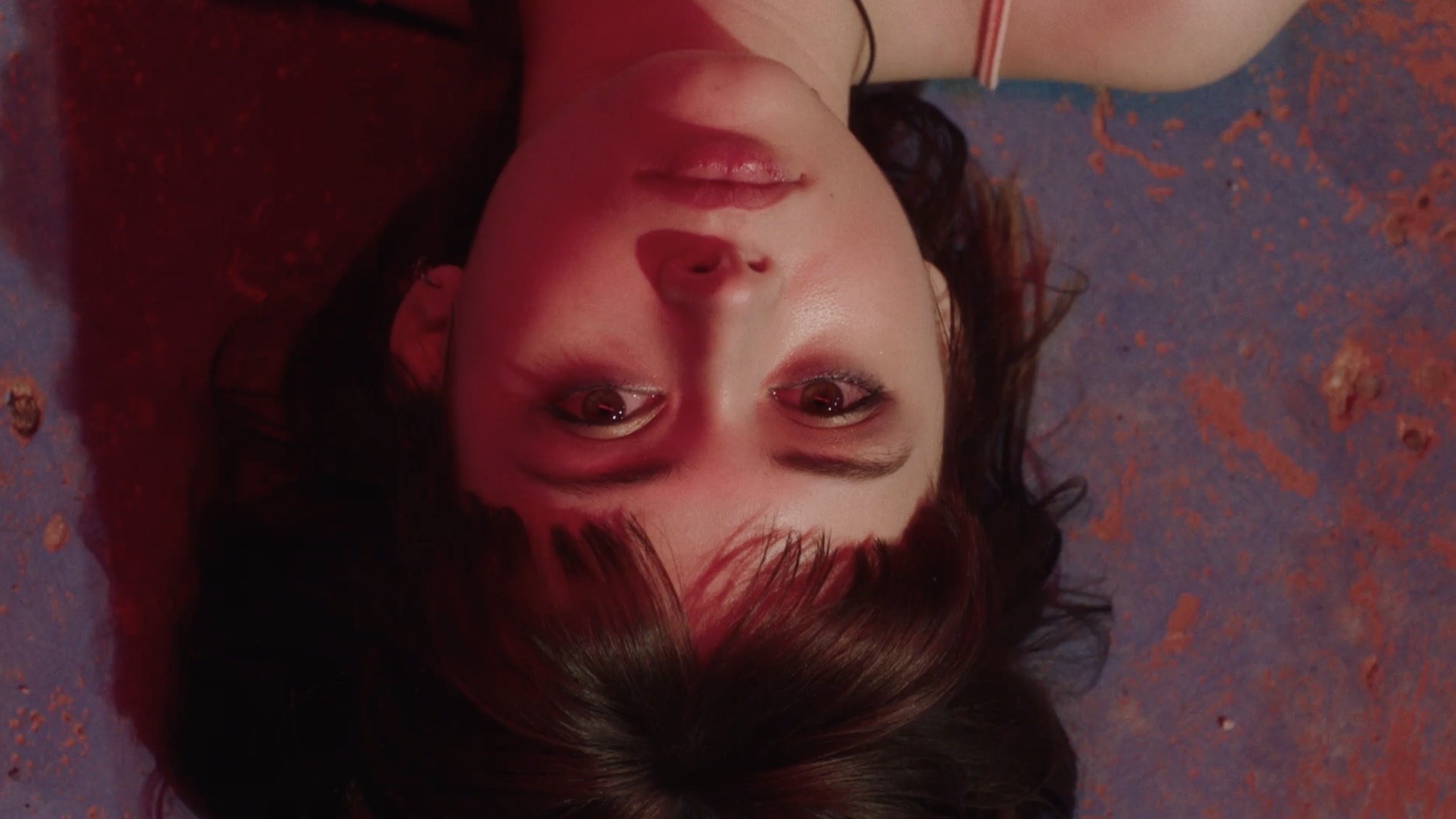 Tótem Loba Background