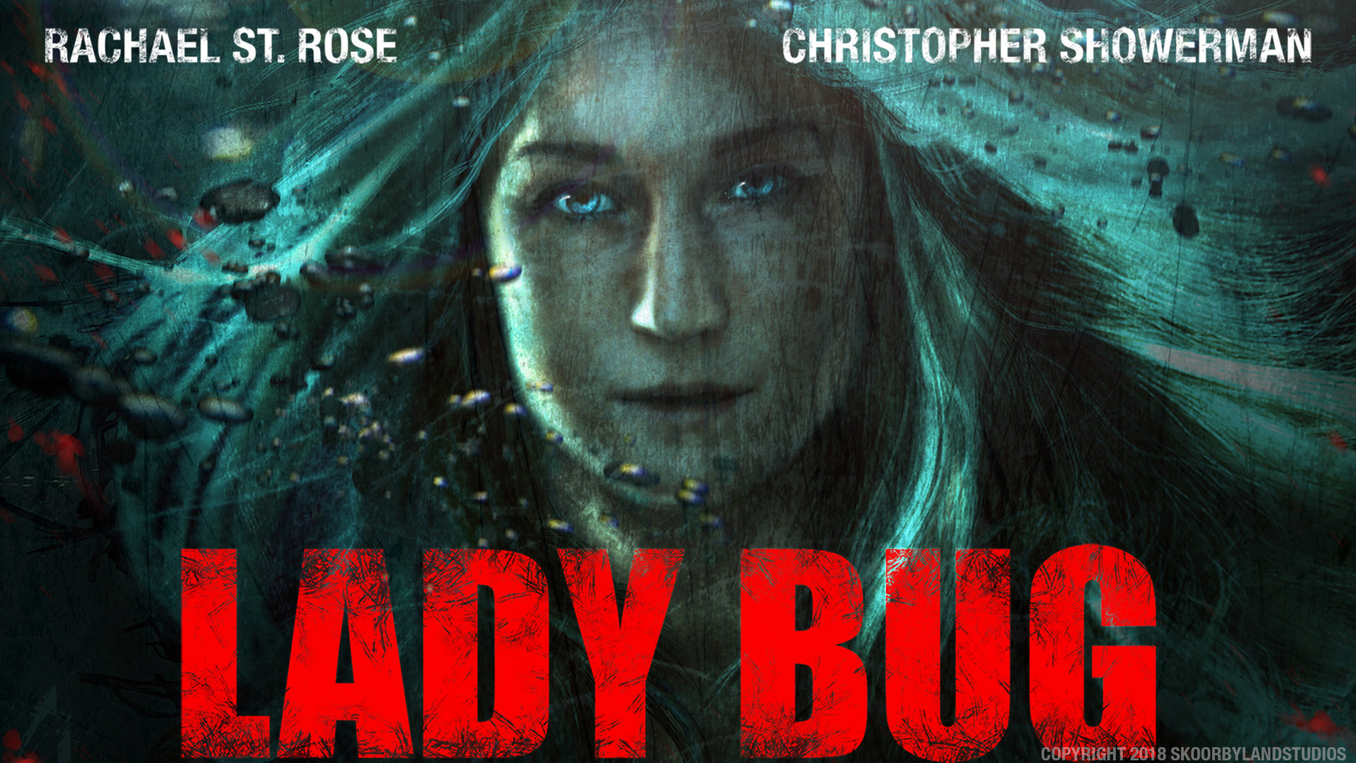 Lady Bug Background