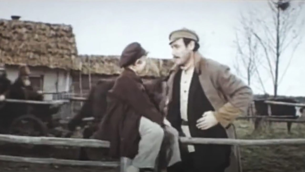 The Geese-Swans Fly Background