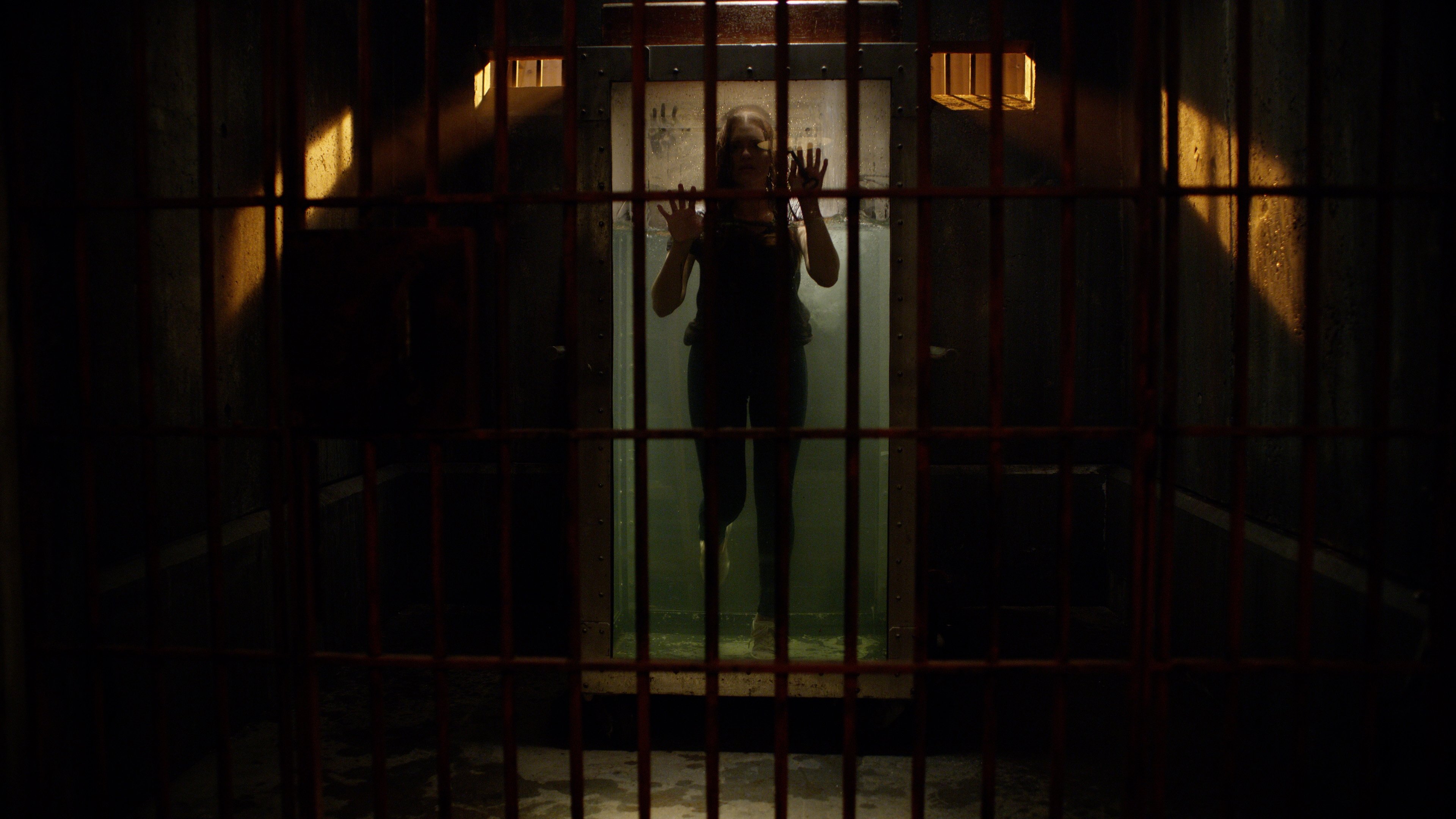 Follow Me Background