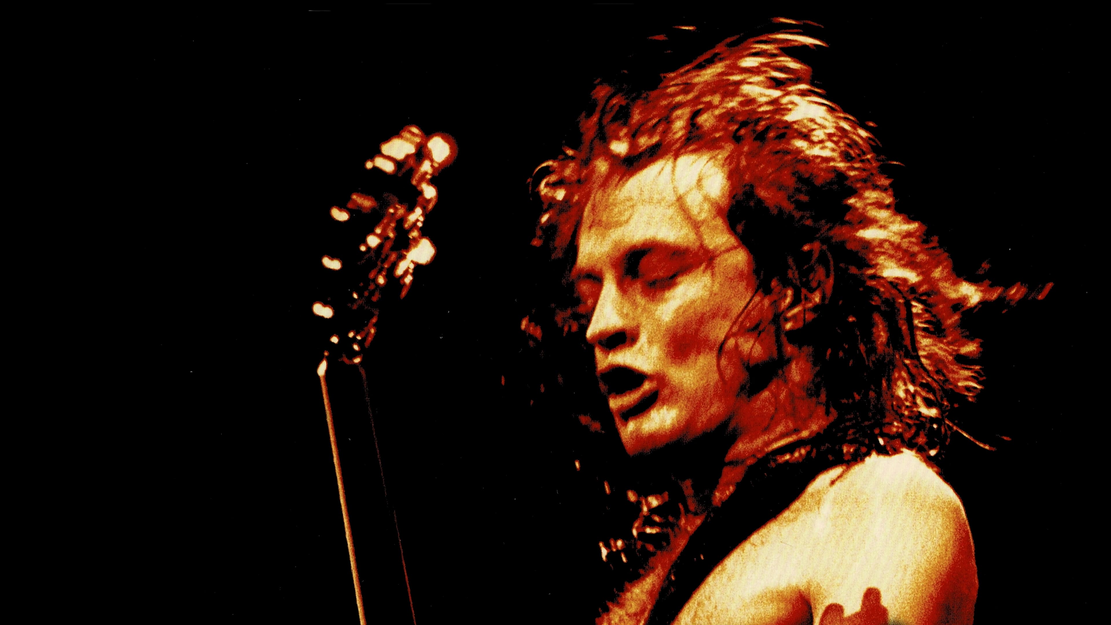 AC/DC: Live At Donington Background