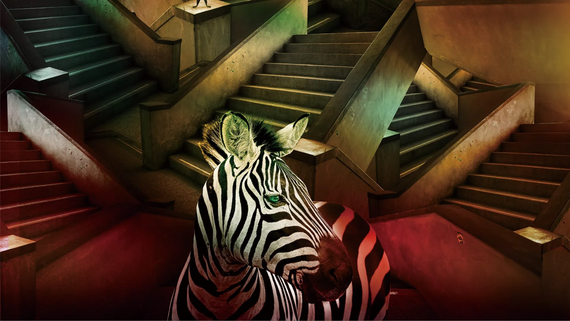 The Magician on the Skywalk Background