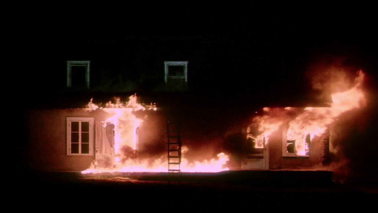 Dirty Money Background