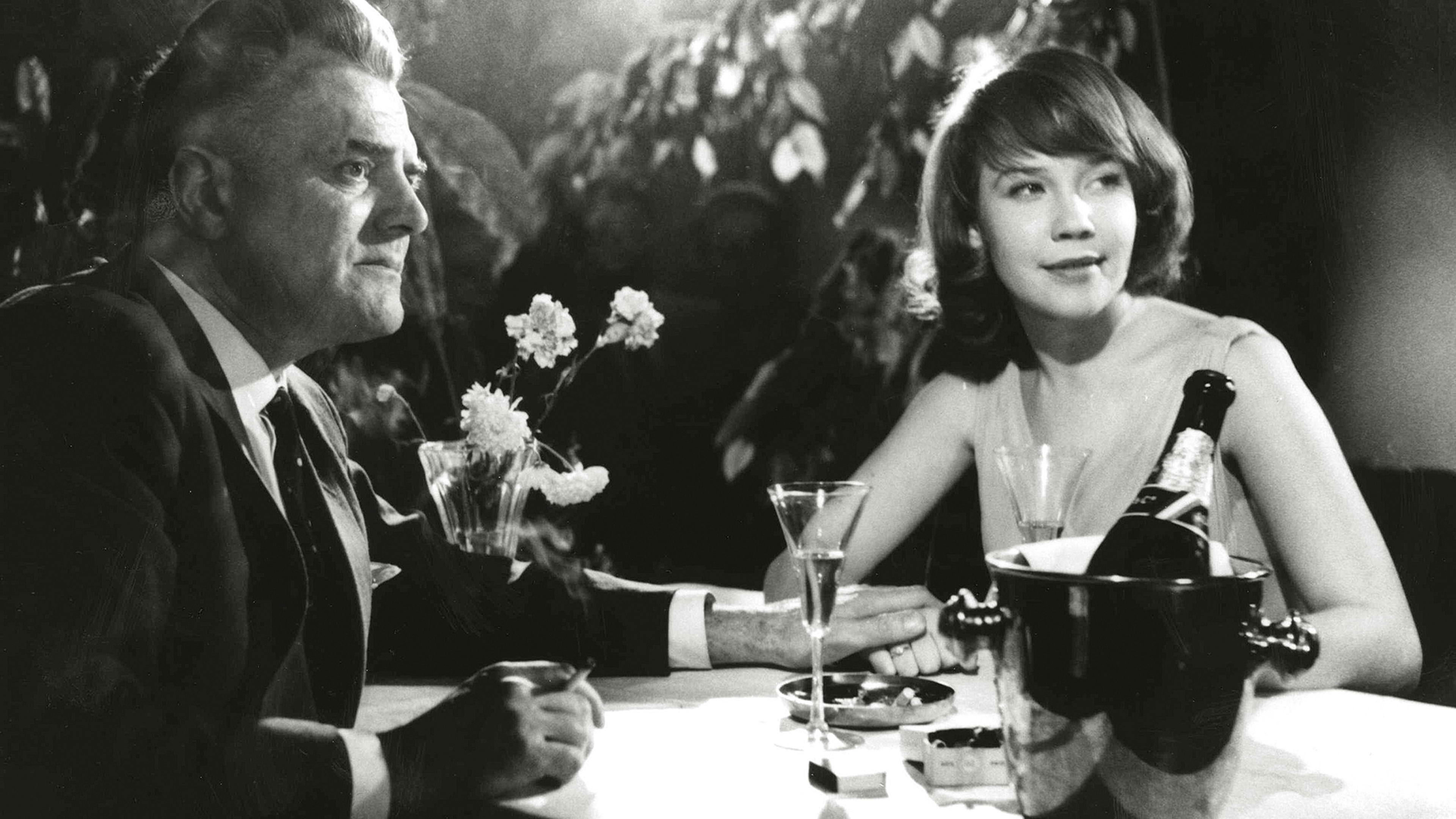 The Scarlet Dove Background