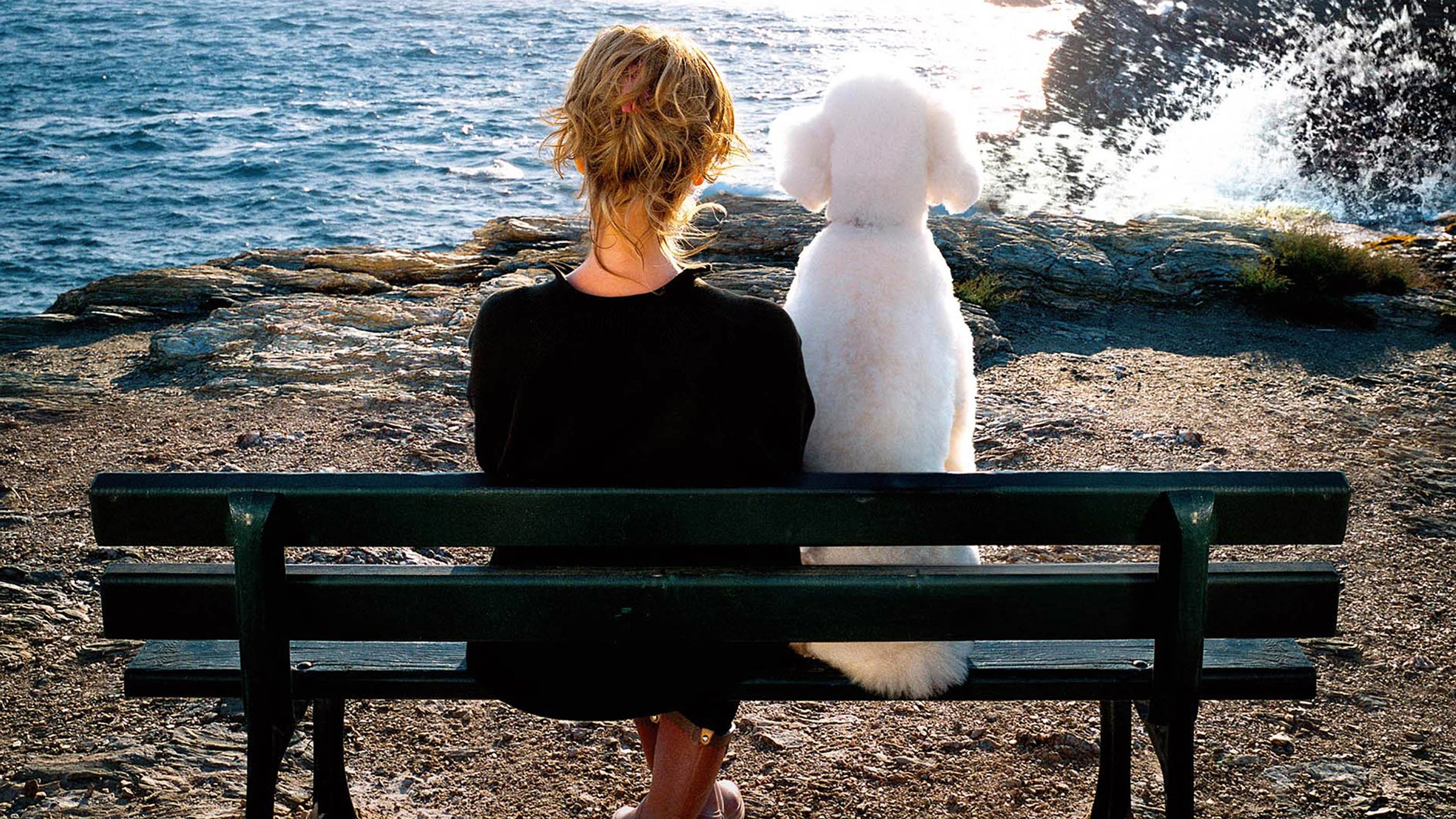 The Merry Widow Background