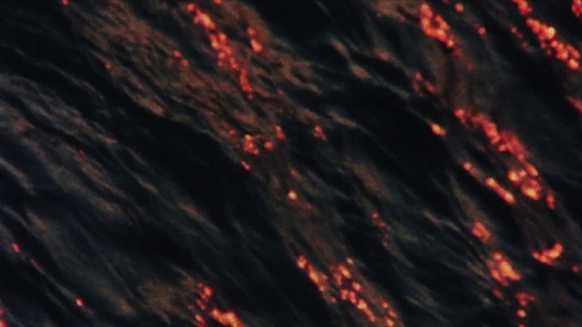 The Water of the Seine Background