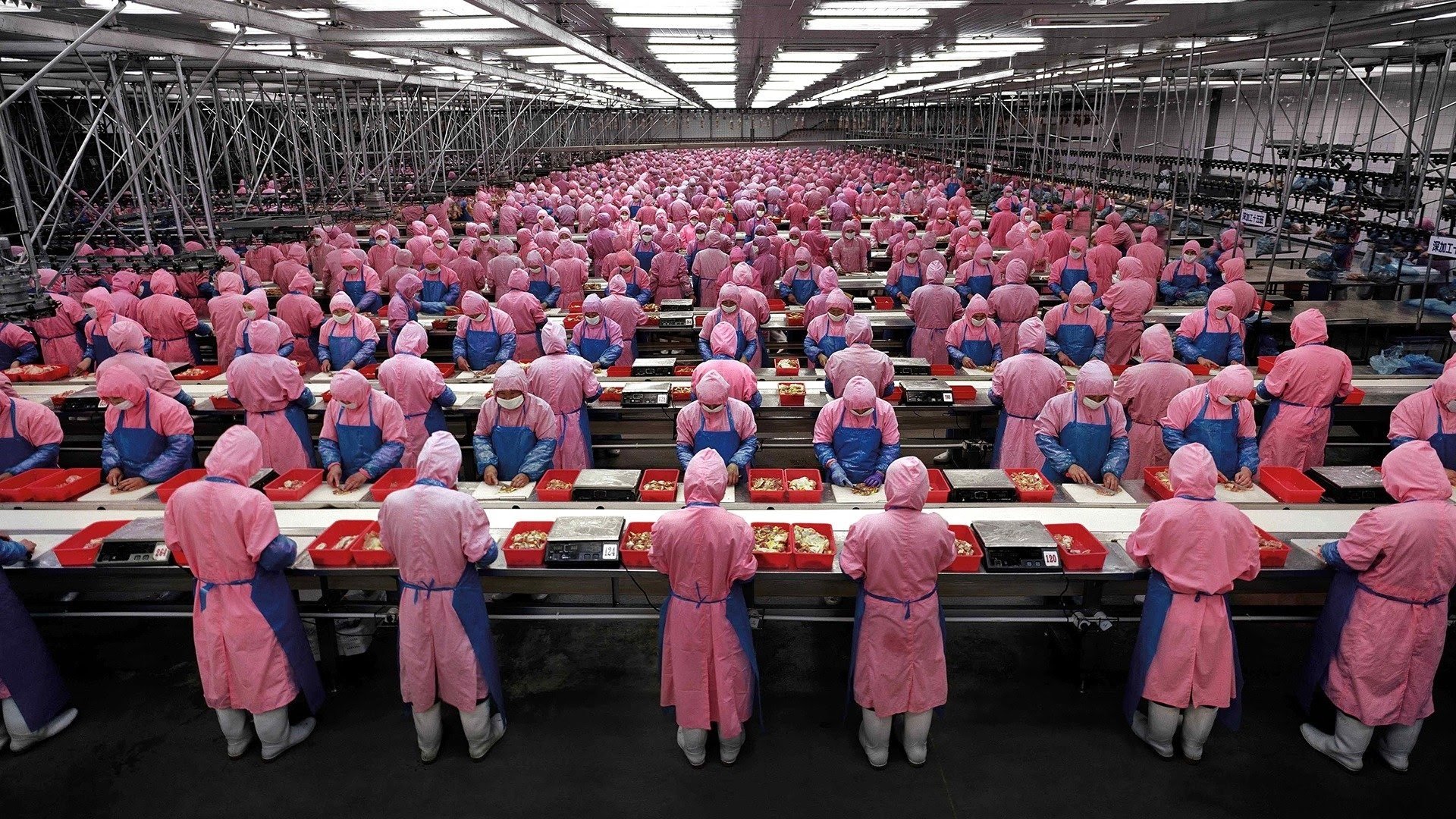 Manufactured Landscapes Background