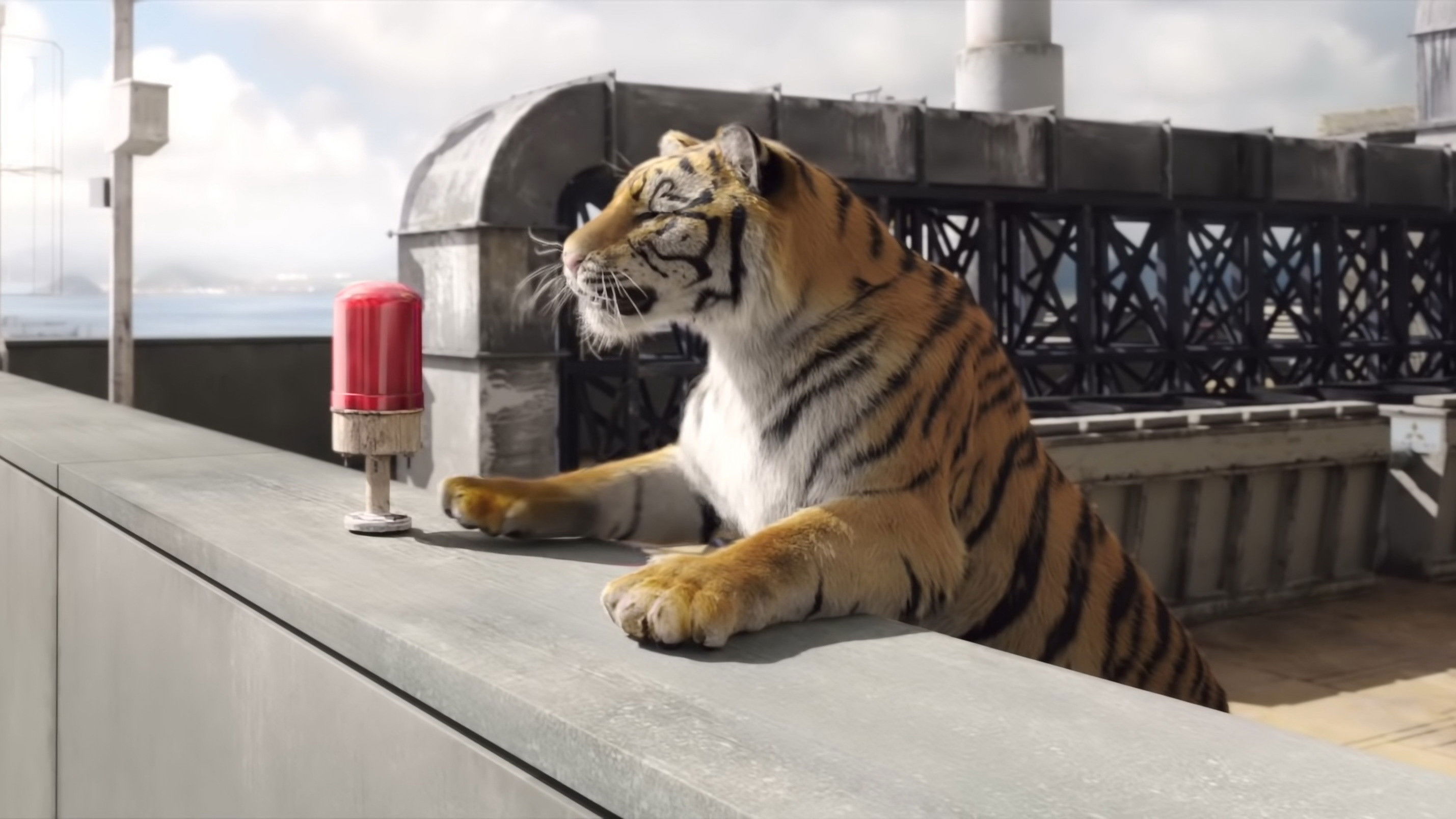 Tiger Robbers Background