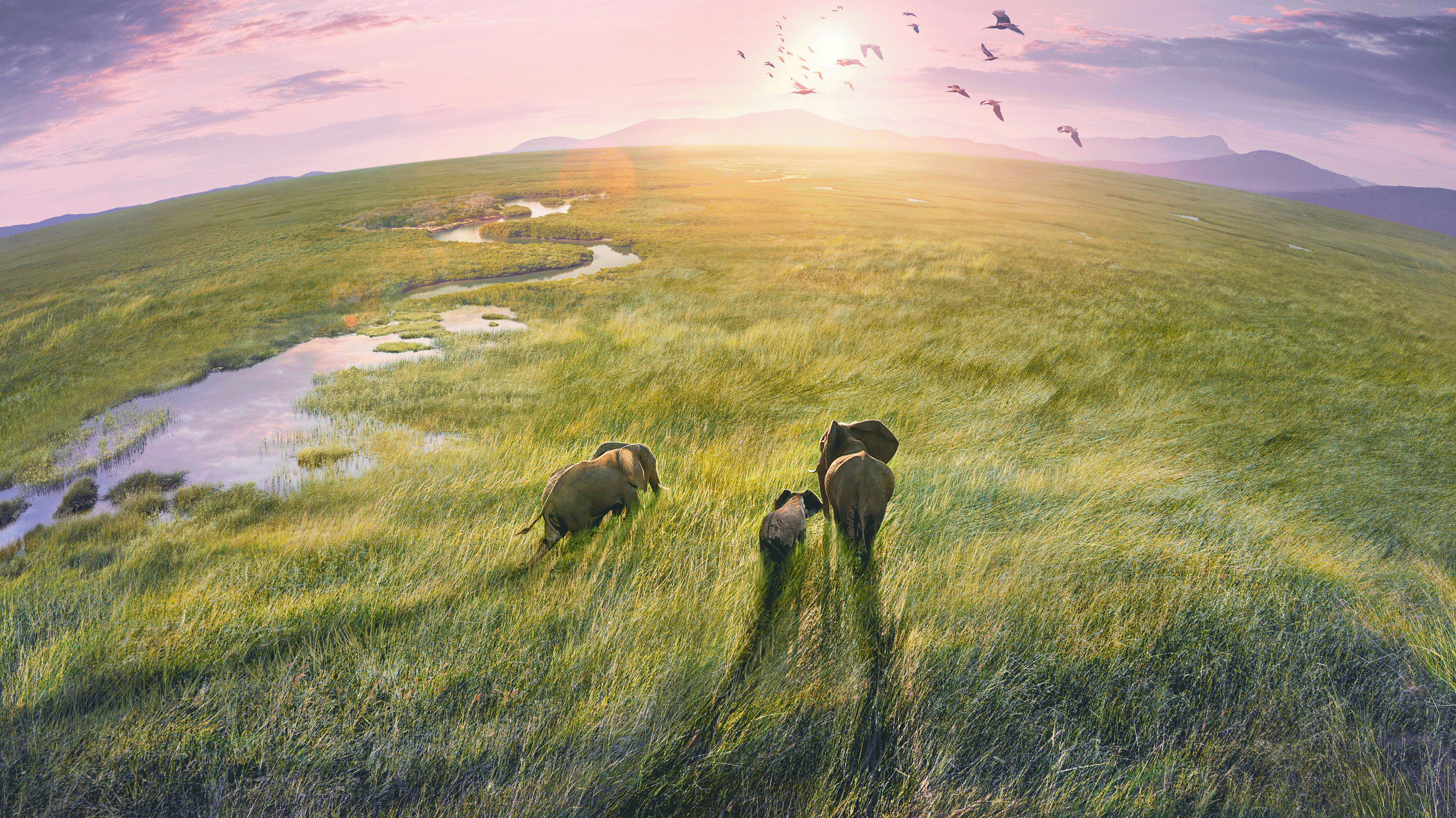 Planet Earth III Background