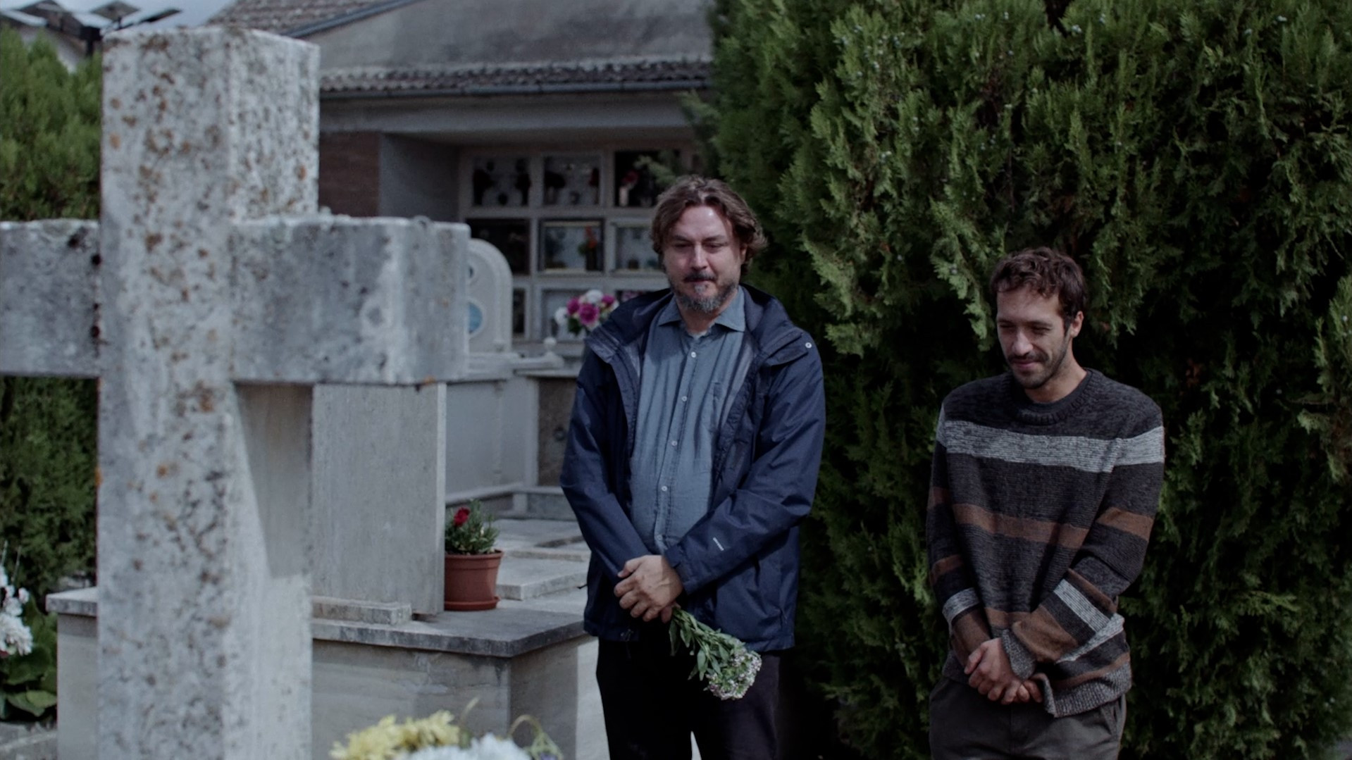 Among The Trees Background