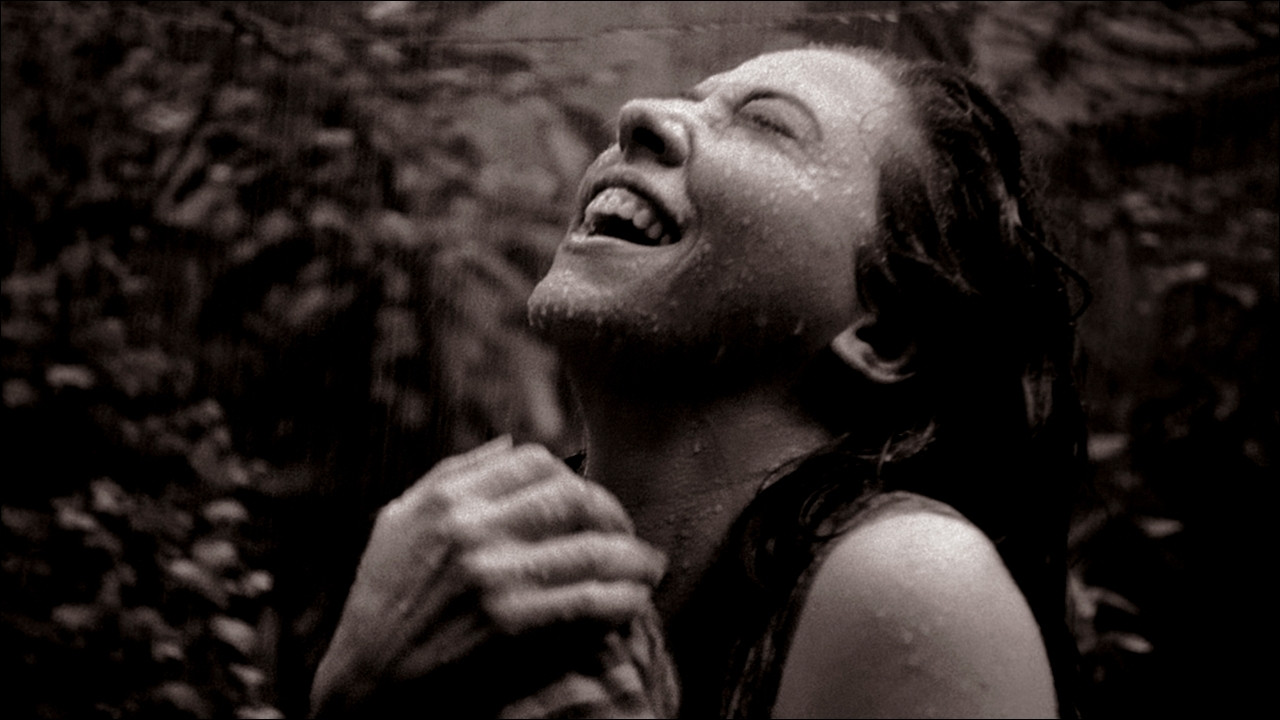 Cinema Novo Background