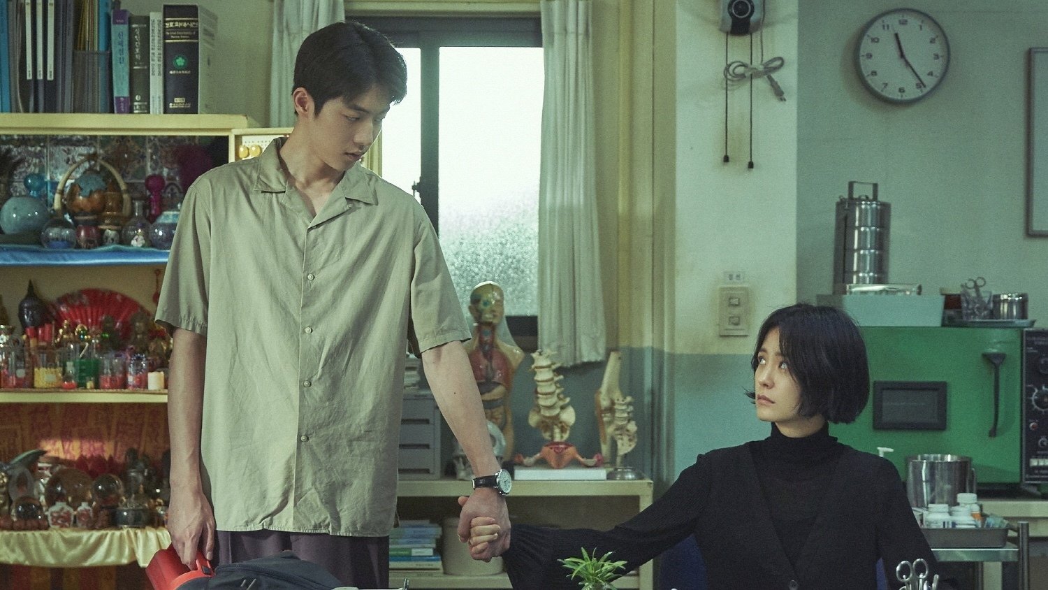 The School Nurse Files Background