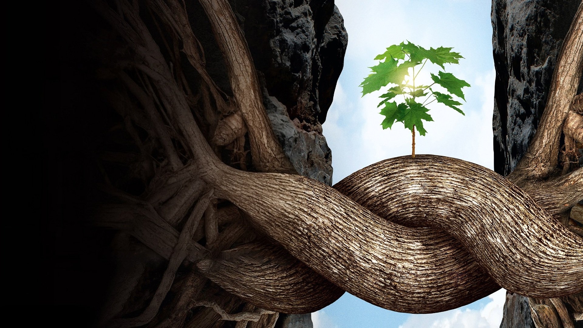 Intelligent Trees Background