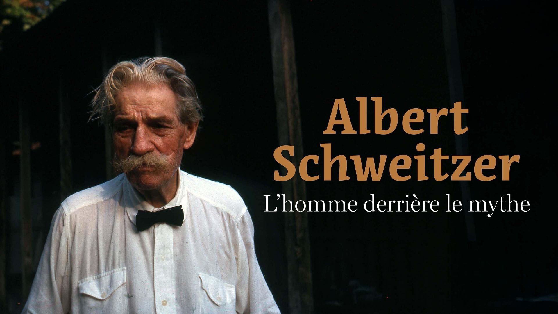 Albert Schweitzer - The Man Behind the Myth Background