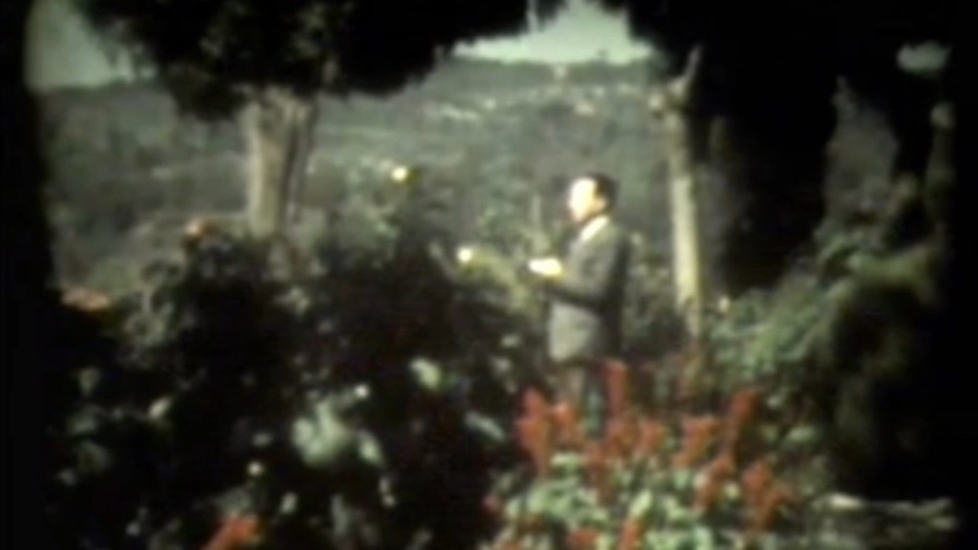 Vecchia Villa Comunale Background