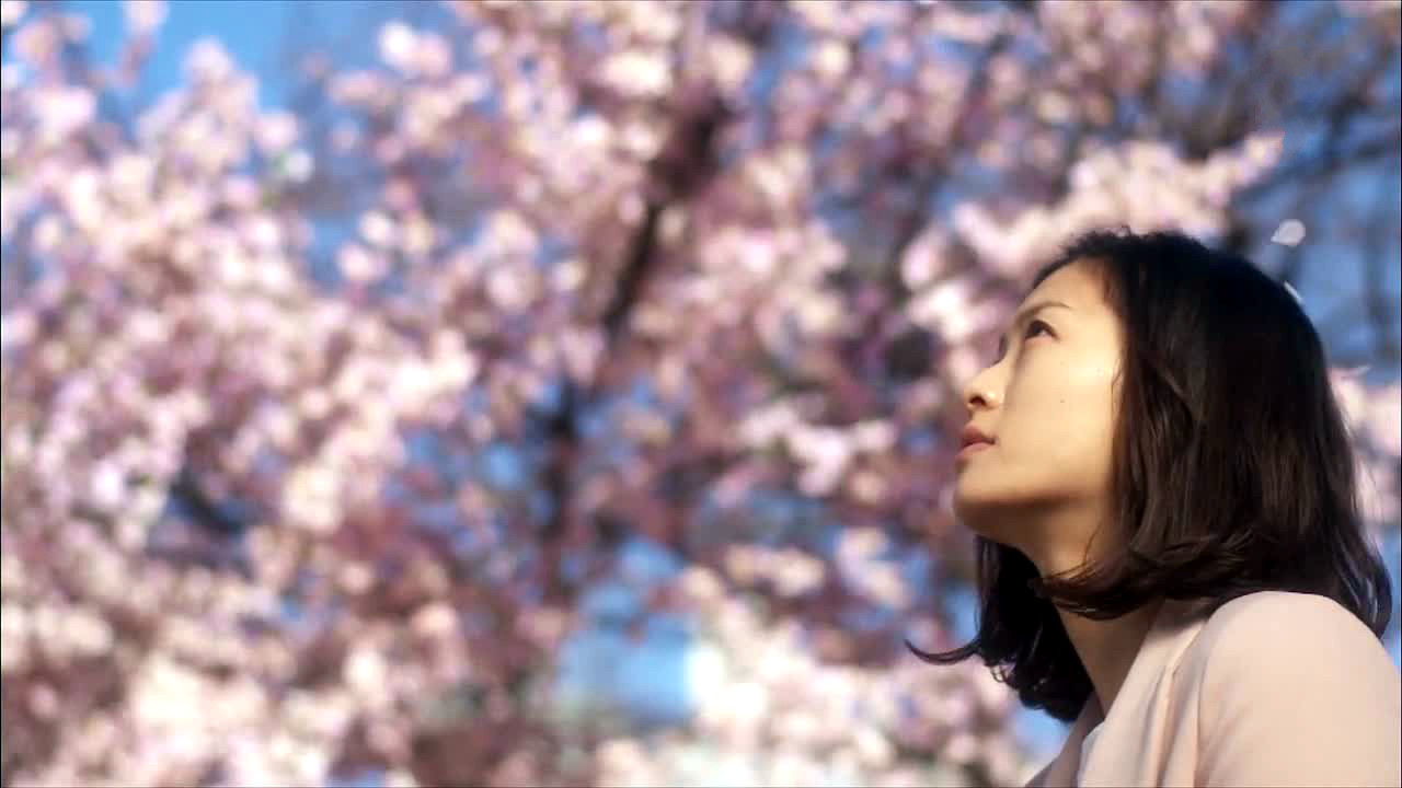 Testimony of N Background