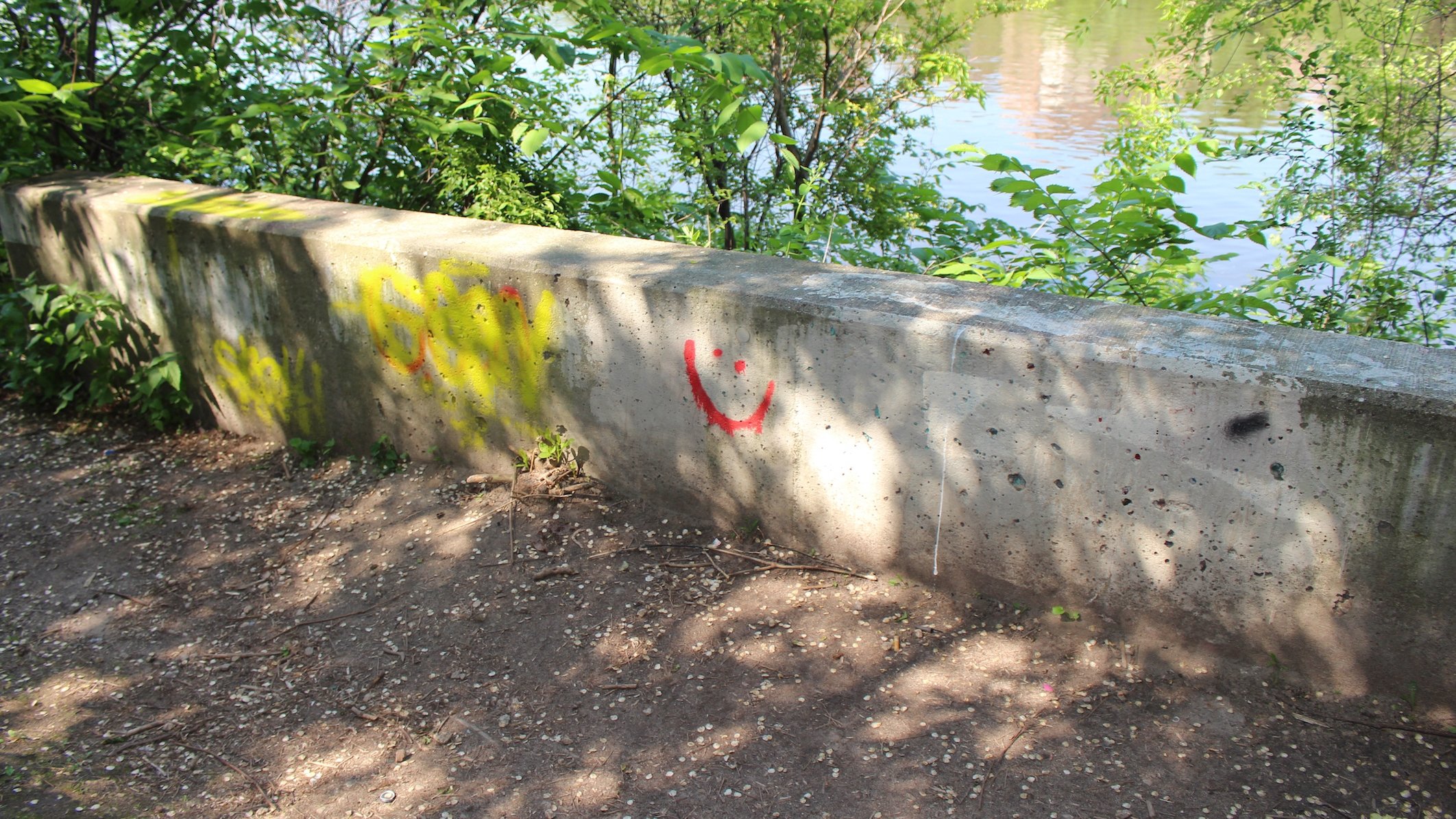 Smiley Face Killers: The Hunt for Justice Background