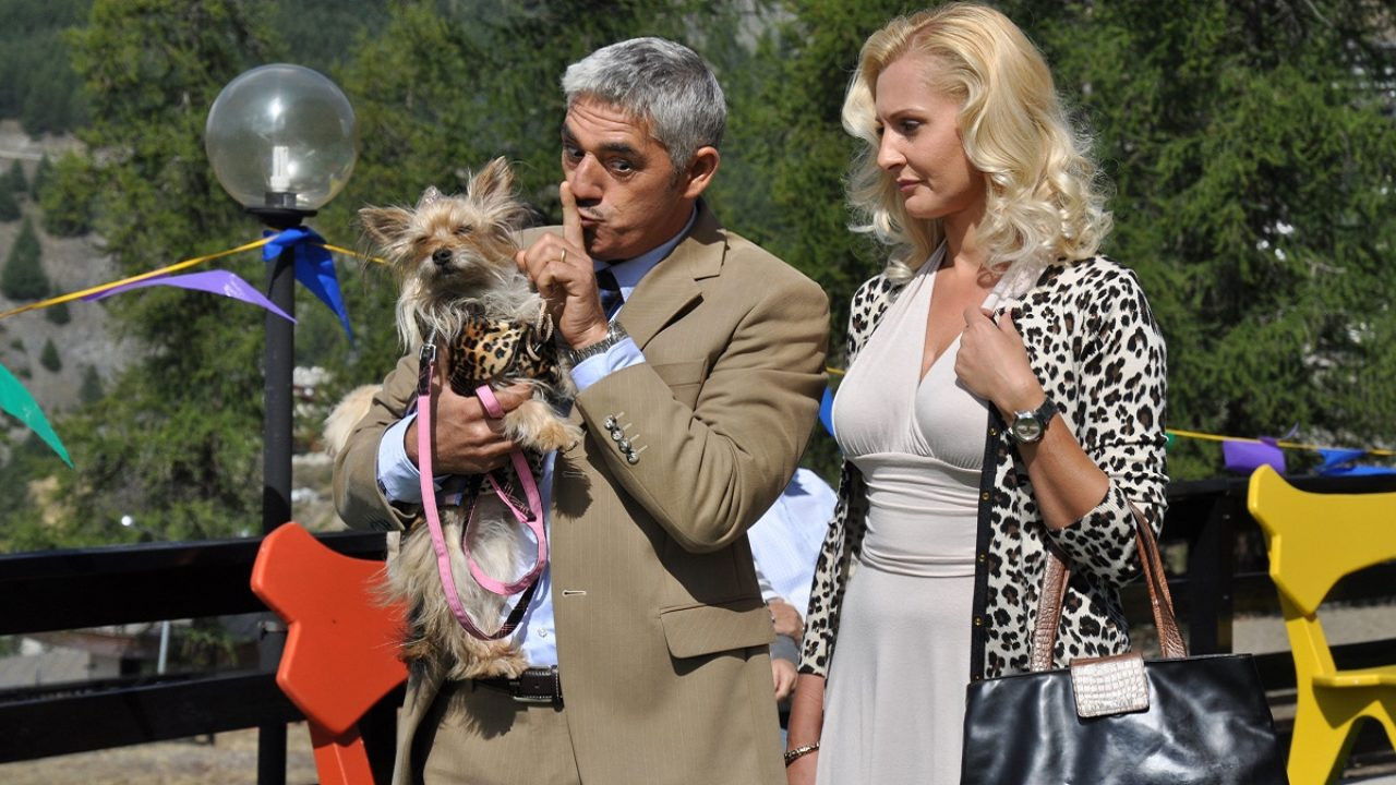 Natale a 4 zampe Background