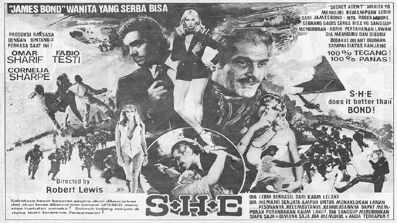 S+H+E: Security Hazards Expert Background