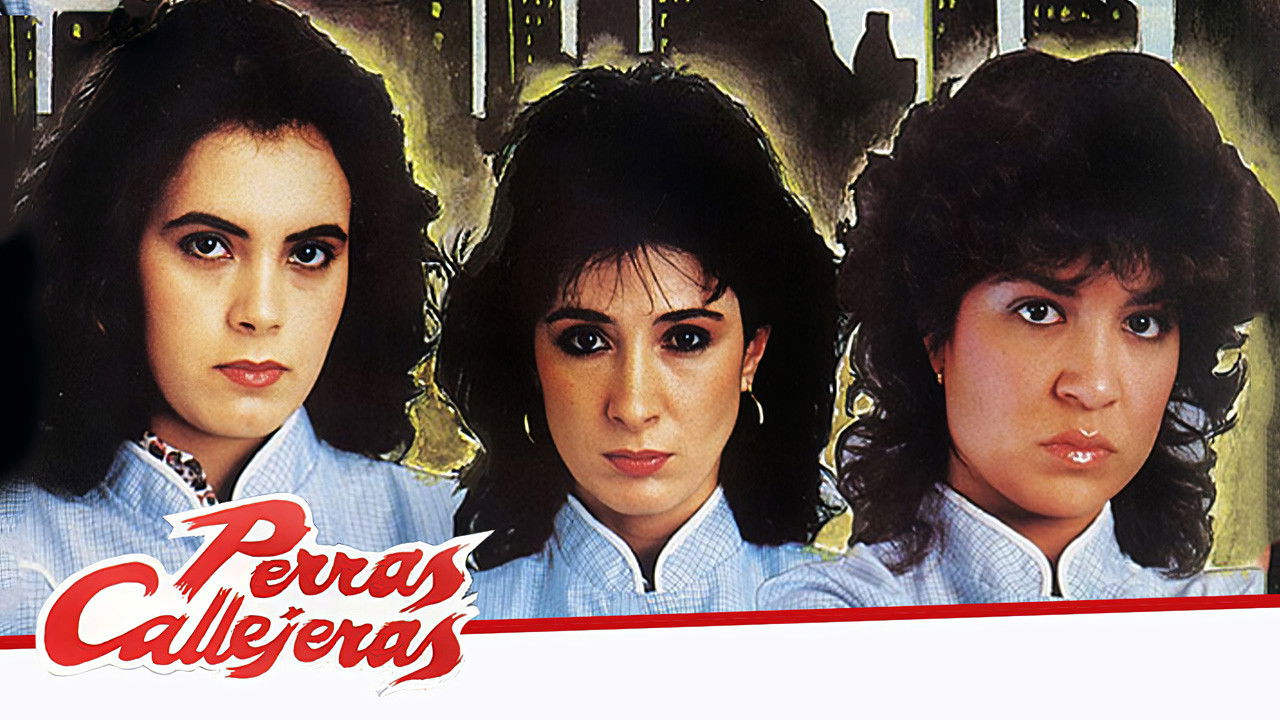 Perras callejeras Background
