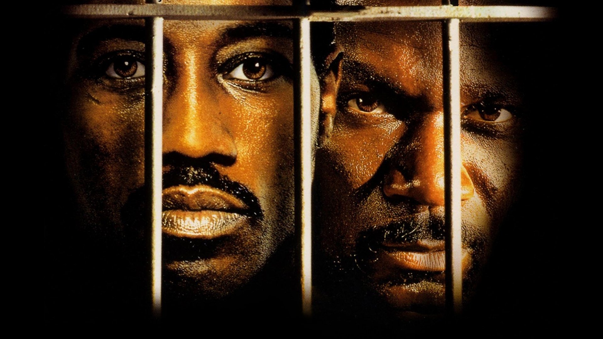 Undisputed Background