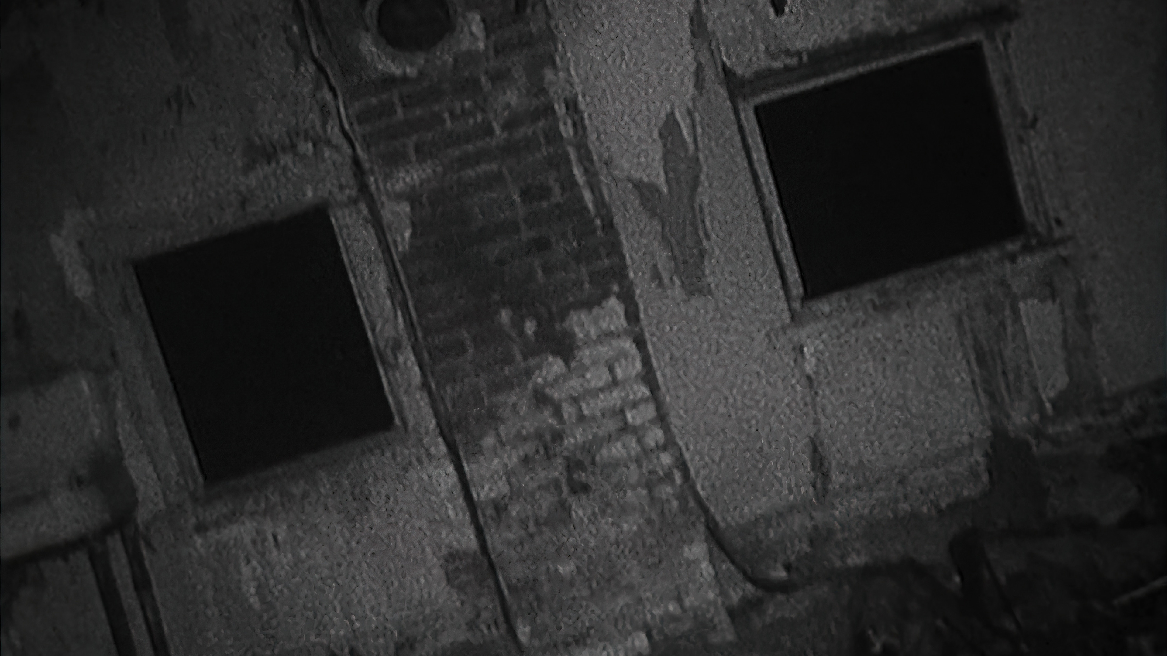 Shadow of the Blair Witch Background