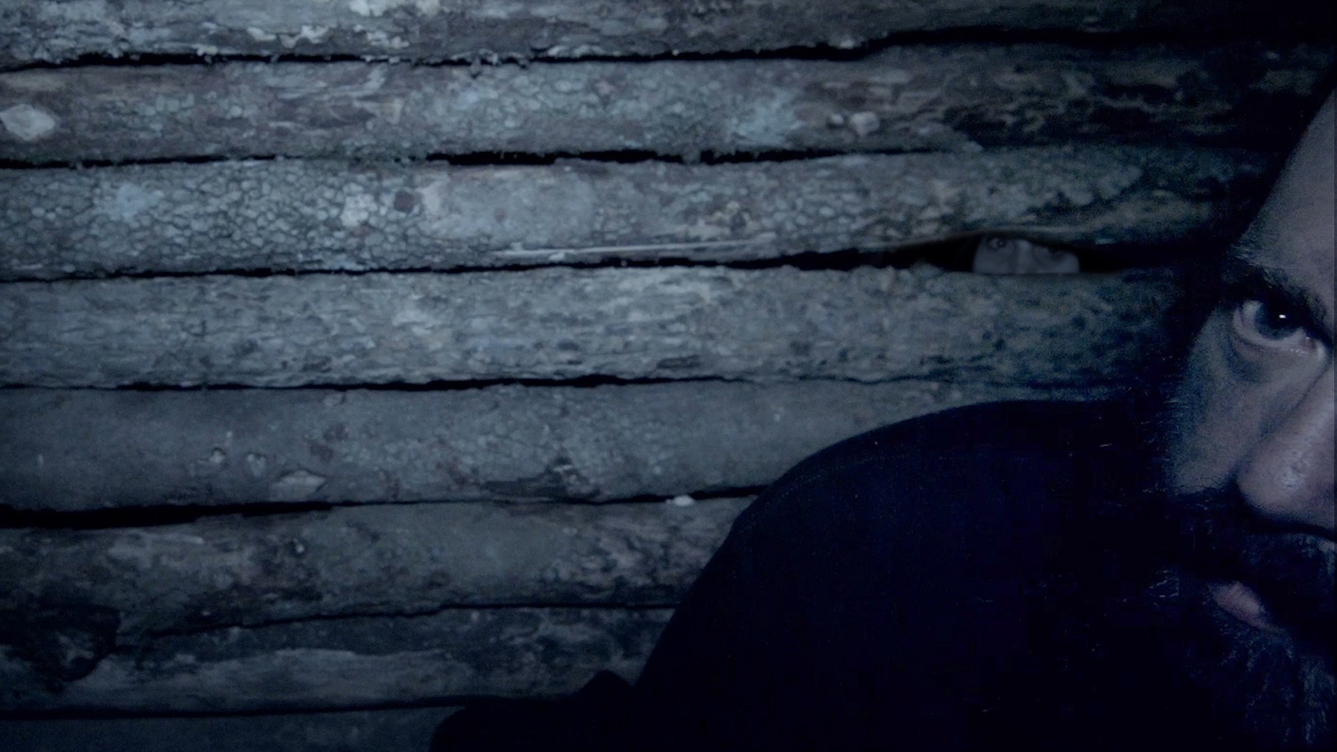 Survive the Hollow Shoals Background