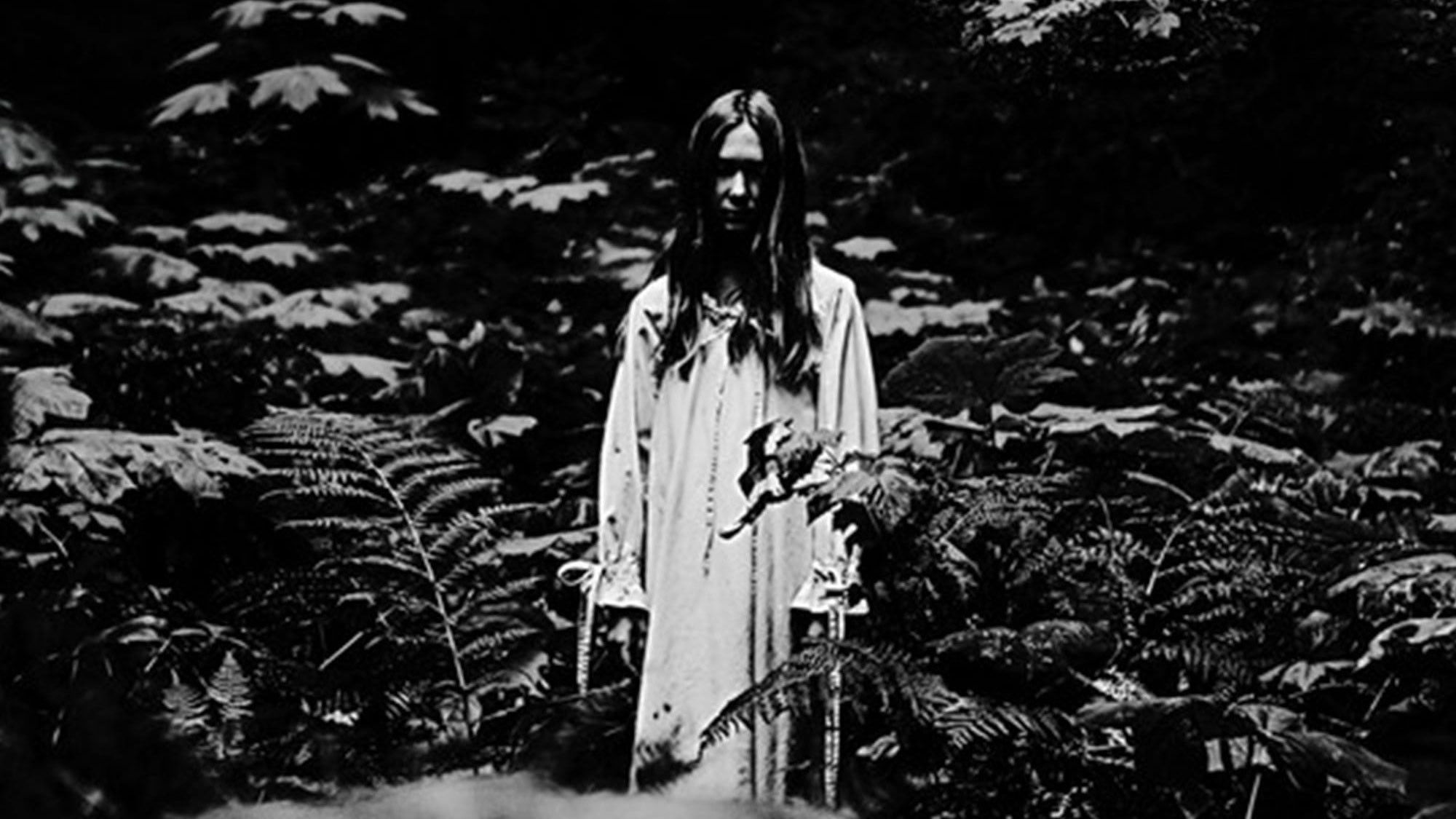 The Whistler Background