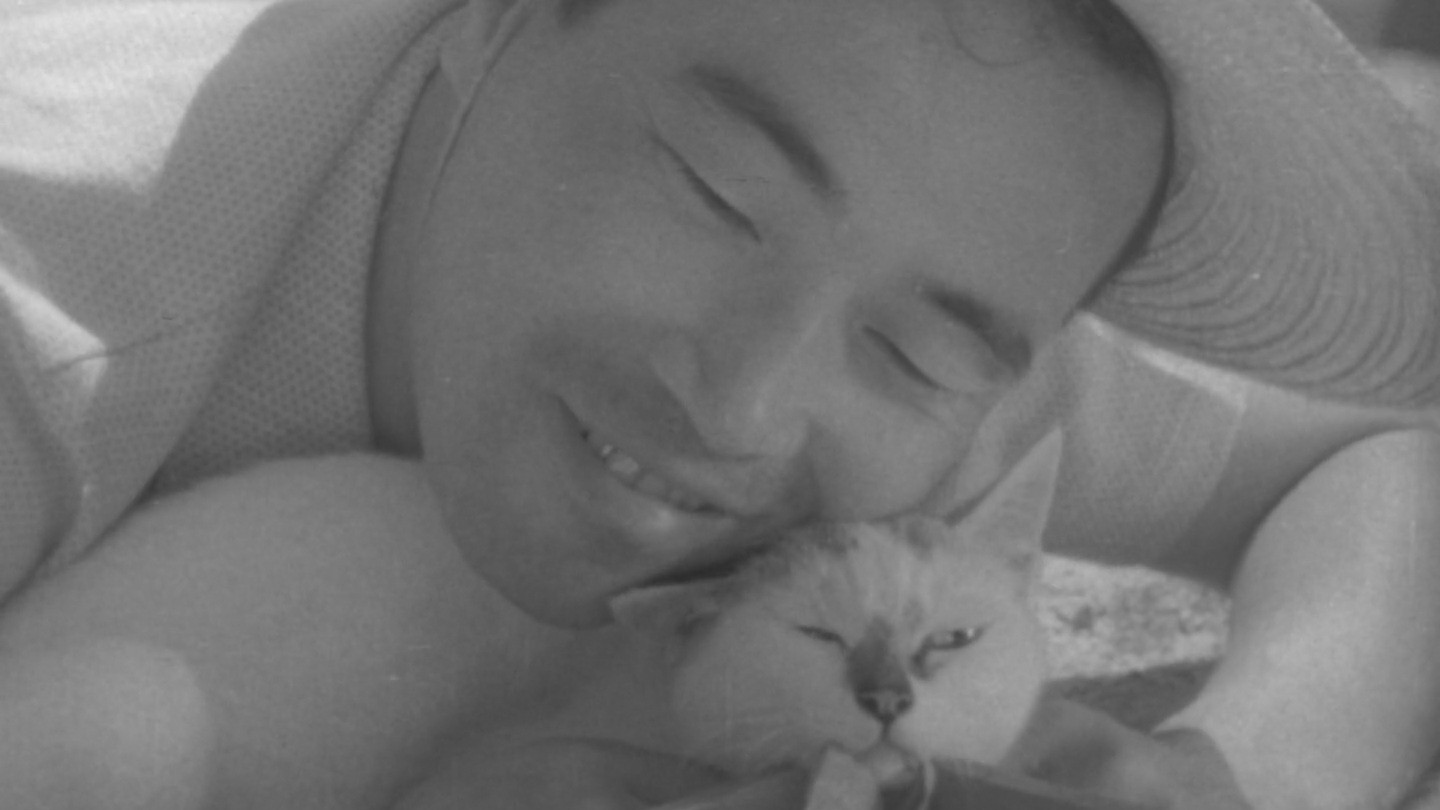 Shozo, a Cat and Two Women Background