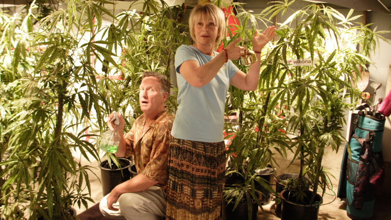 Everything's Gone Green Background