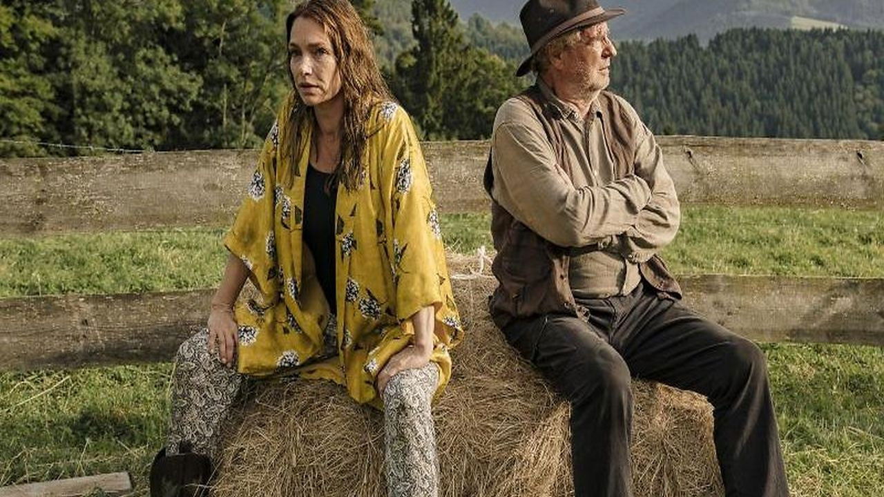 Zimmer mit Stall - Ab in die Berge Background