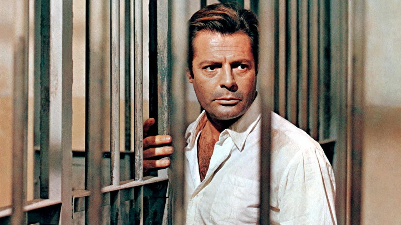 The Stranger Background