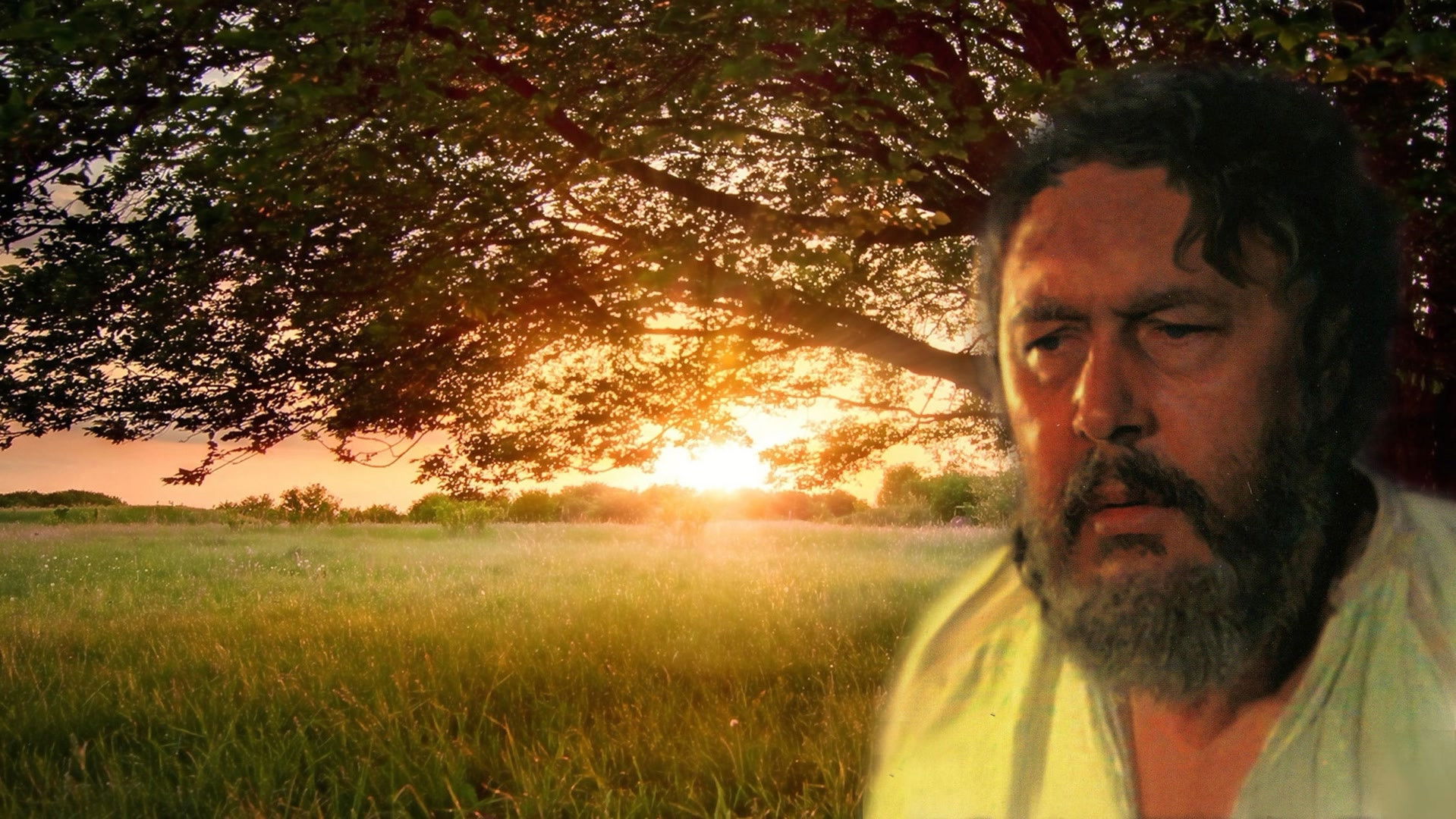 The Quack Background