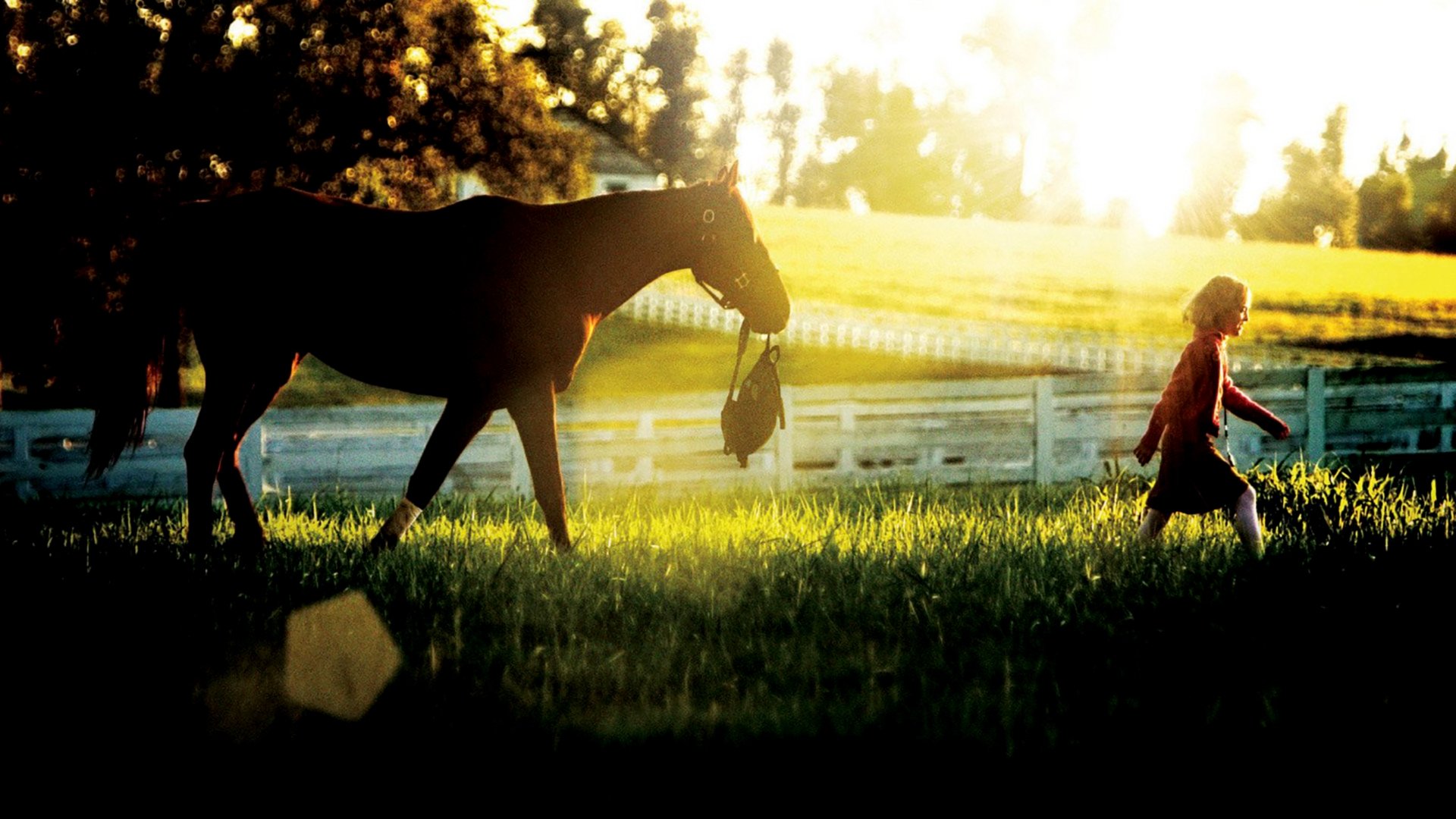 Dreamer: Inspired By a True Story Background