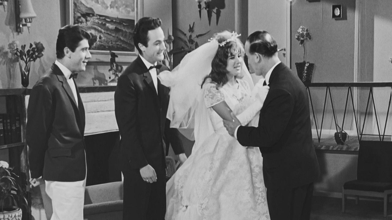 My Groom, the Lawyer! Background