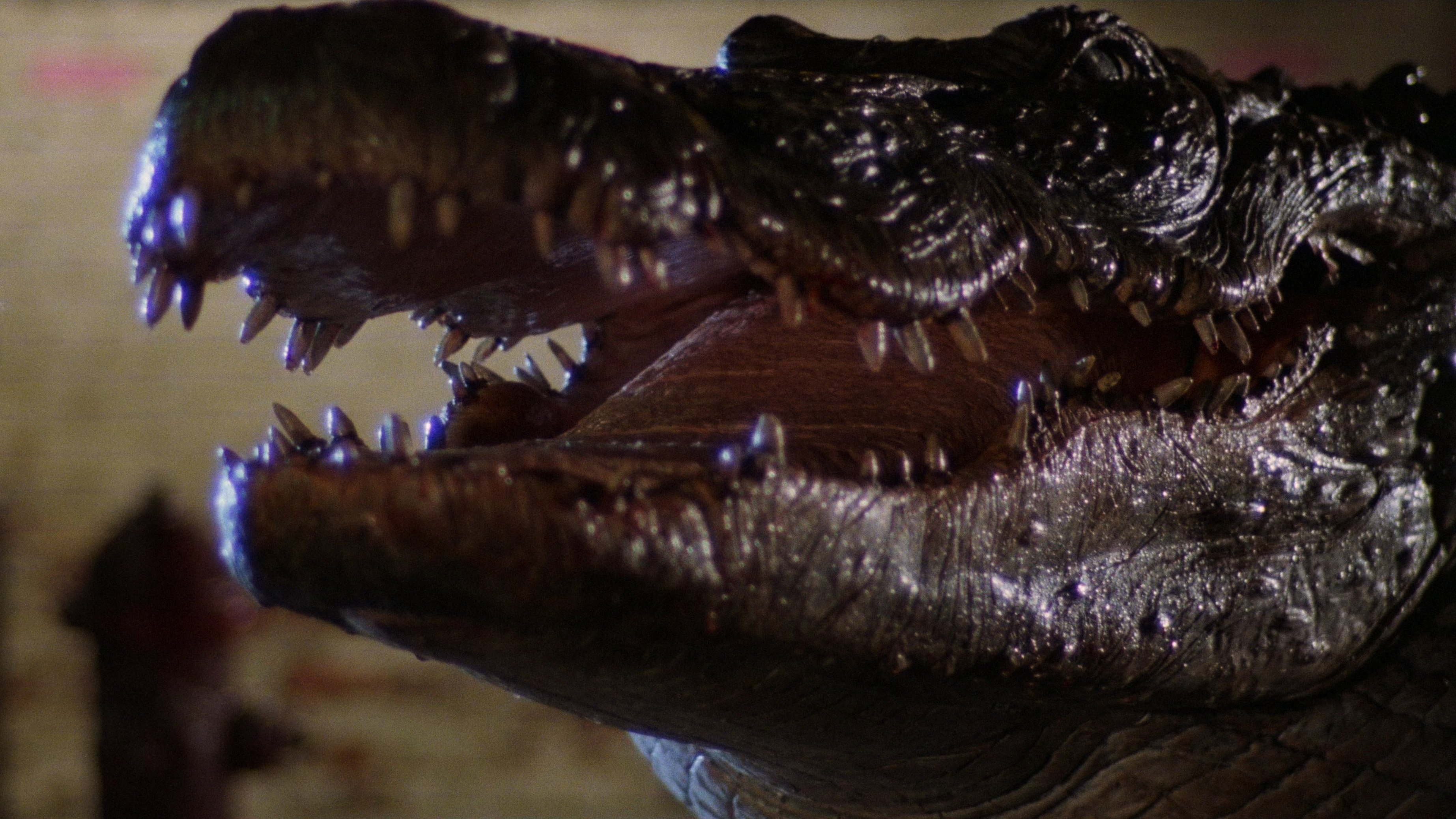 Alligator Background