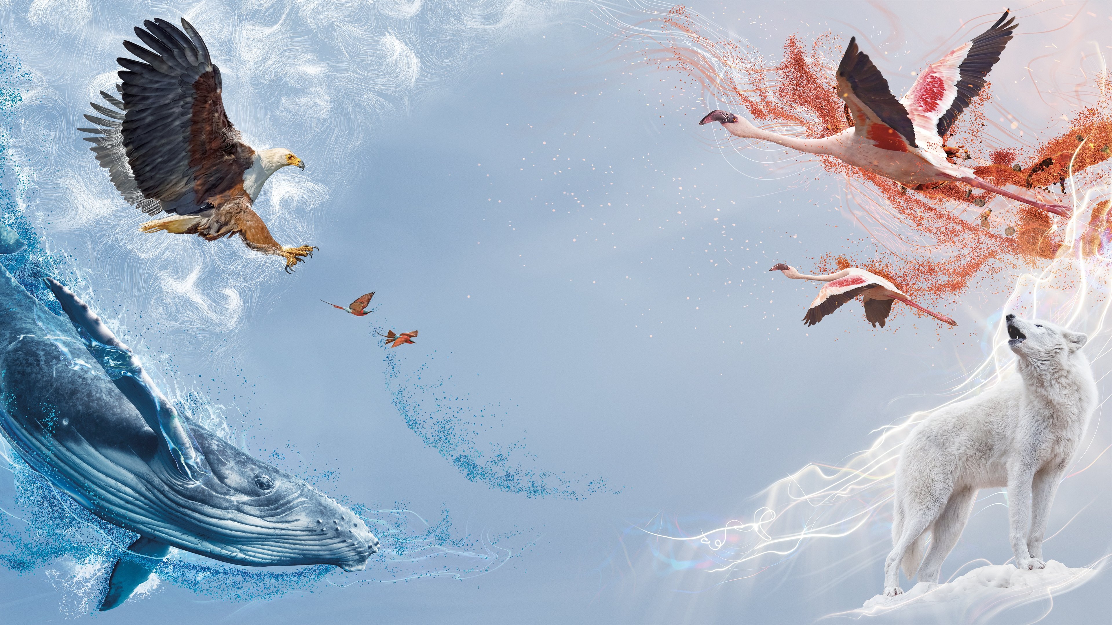 A Perfect Planet Background