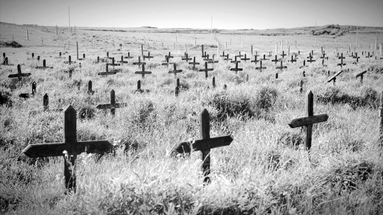 Adolf Island Background