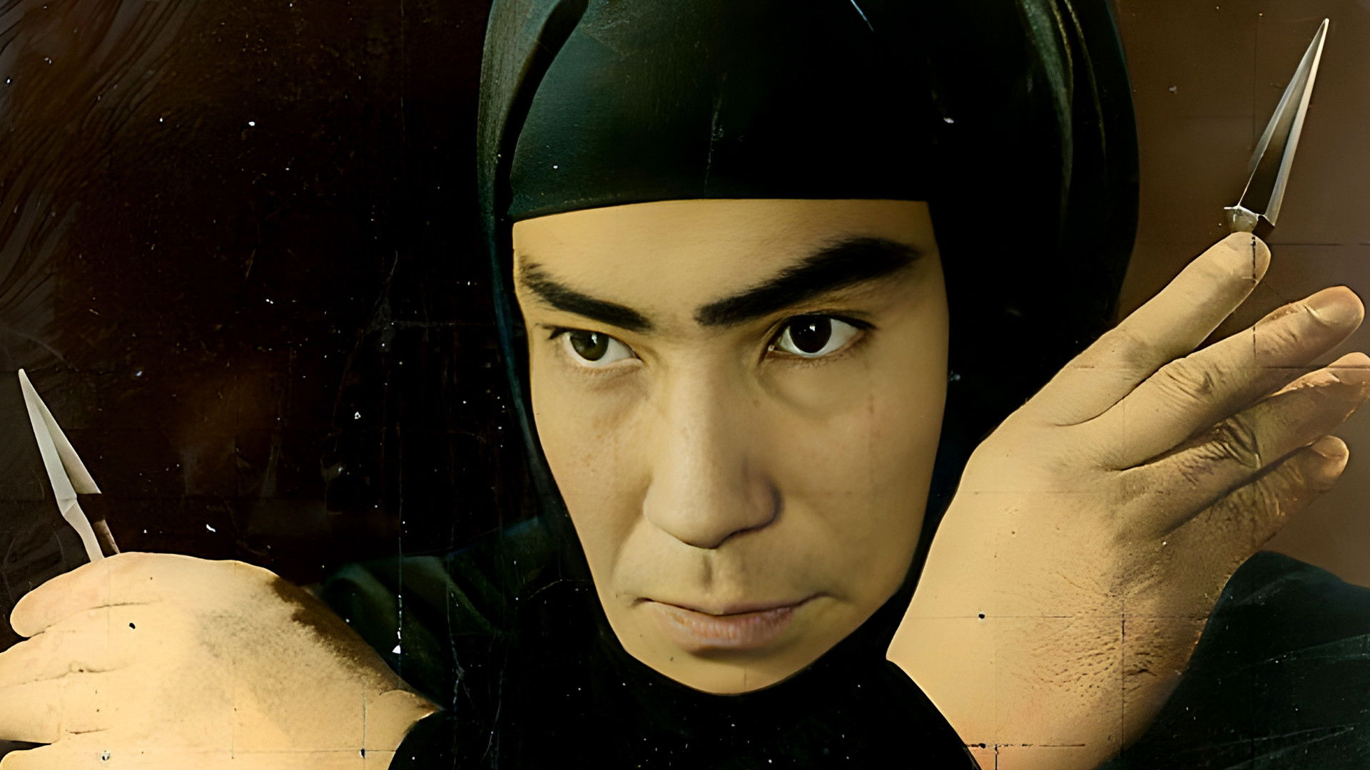 Castle of Owls Background